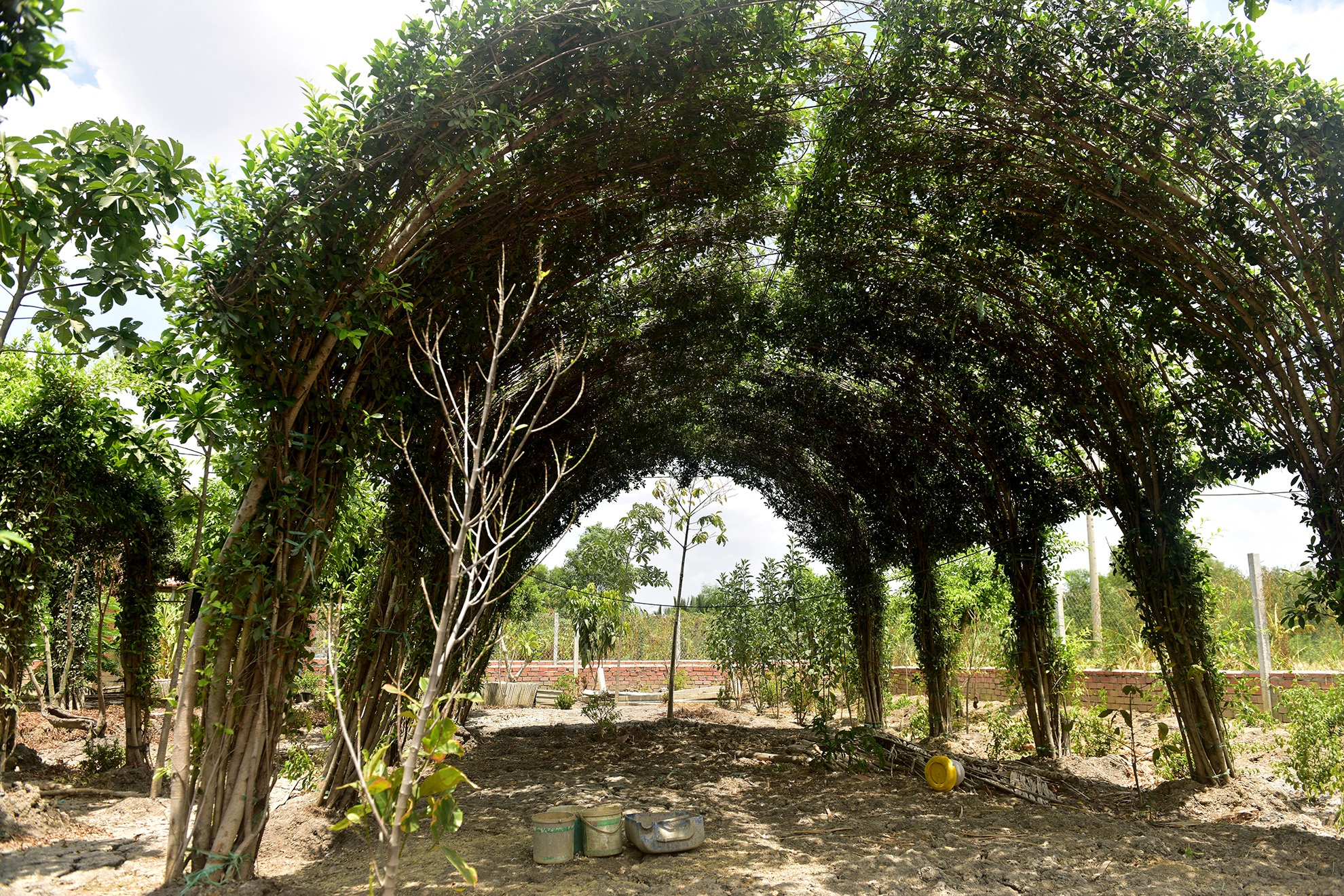 dung choi nuoi vit cung bi khoi to anh 3