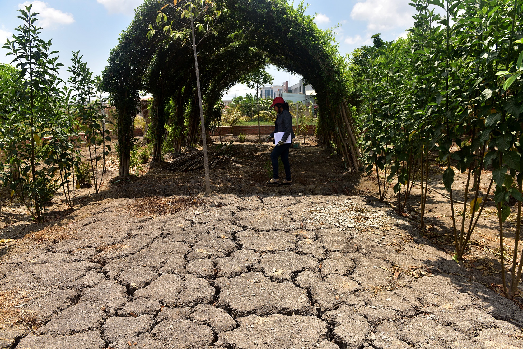 dung choi nuoi vit cung bi khoi to anh 4
