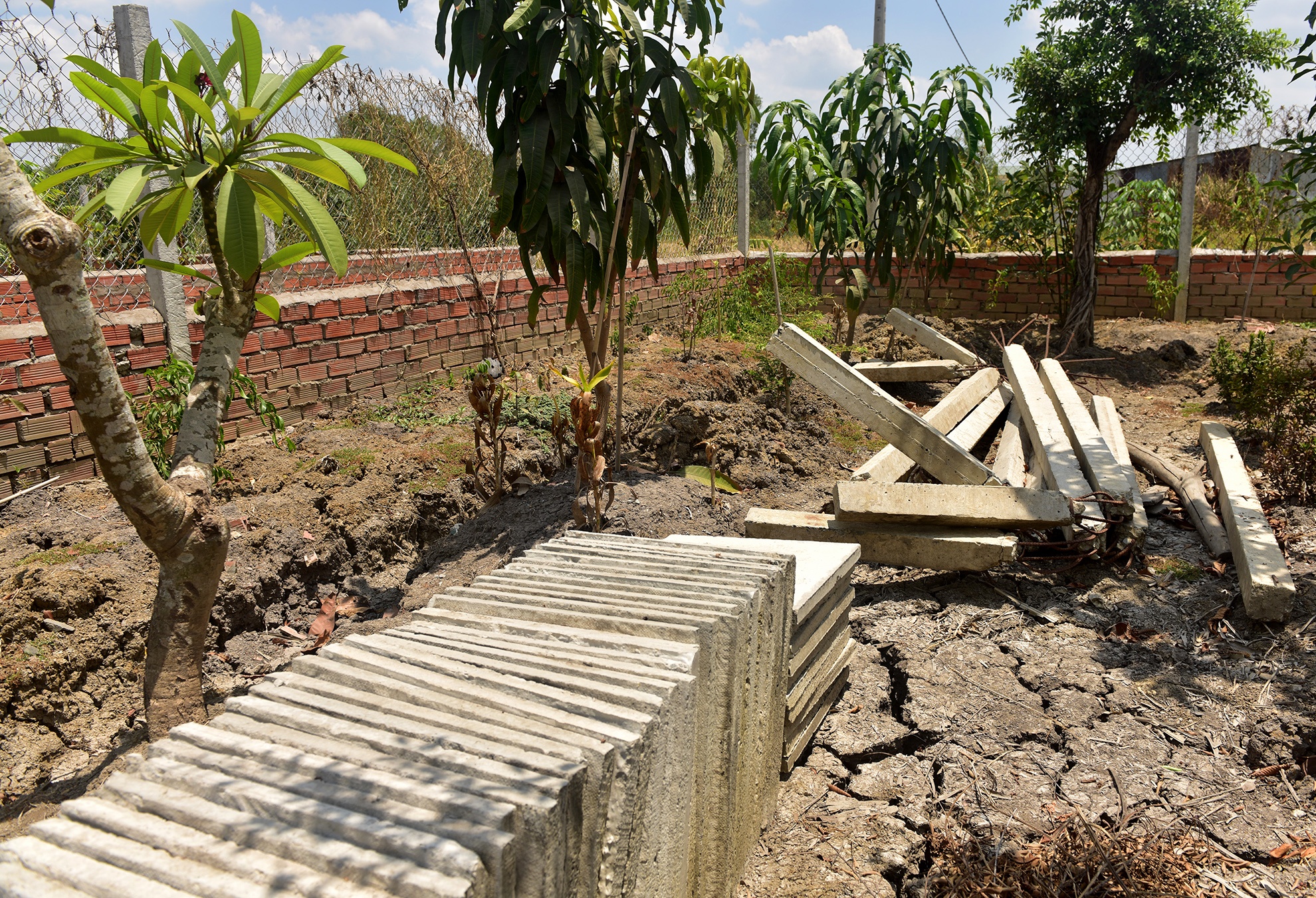 dung choi nuoi vit cung bi khoi to anh 5