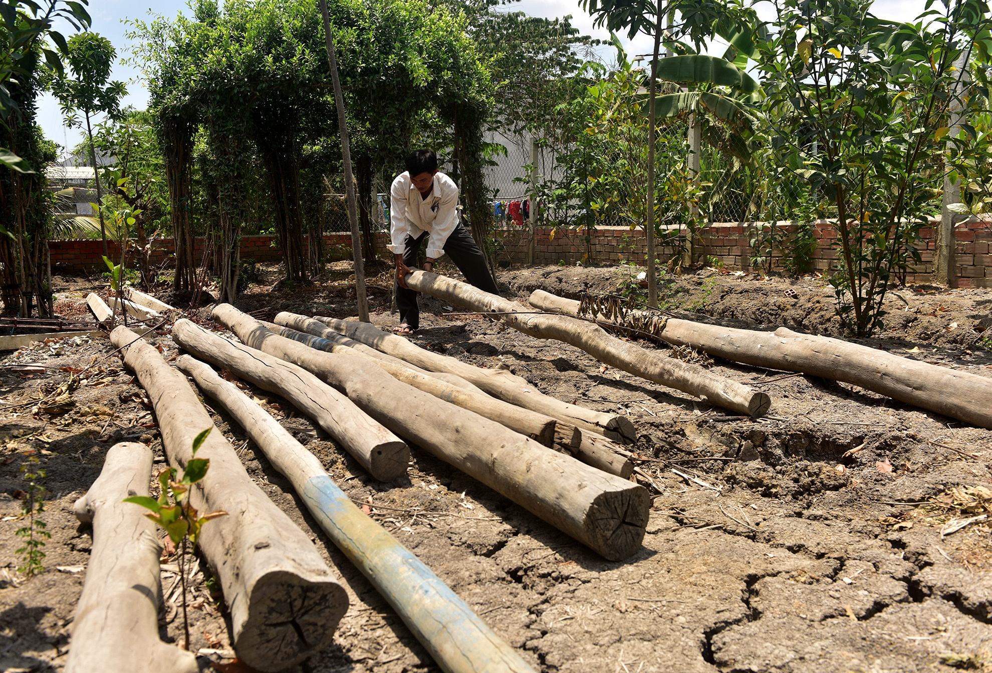dung choi nuoi vit cung bi khoi to anh 6