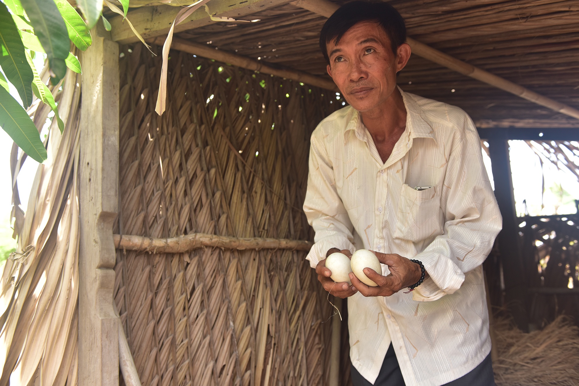 dung choi nuoi vit cung bi khoi to anh 8