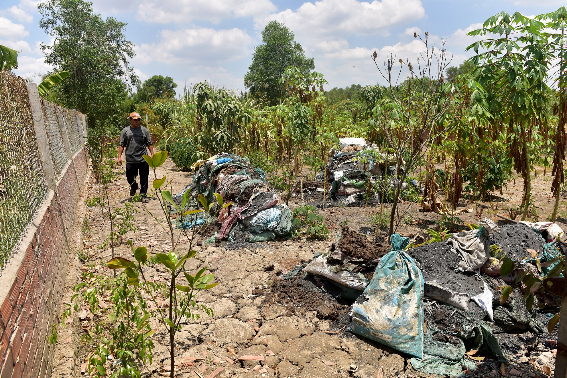 dung choi nuoi vit cung bi khoi to anh 9
