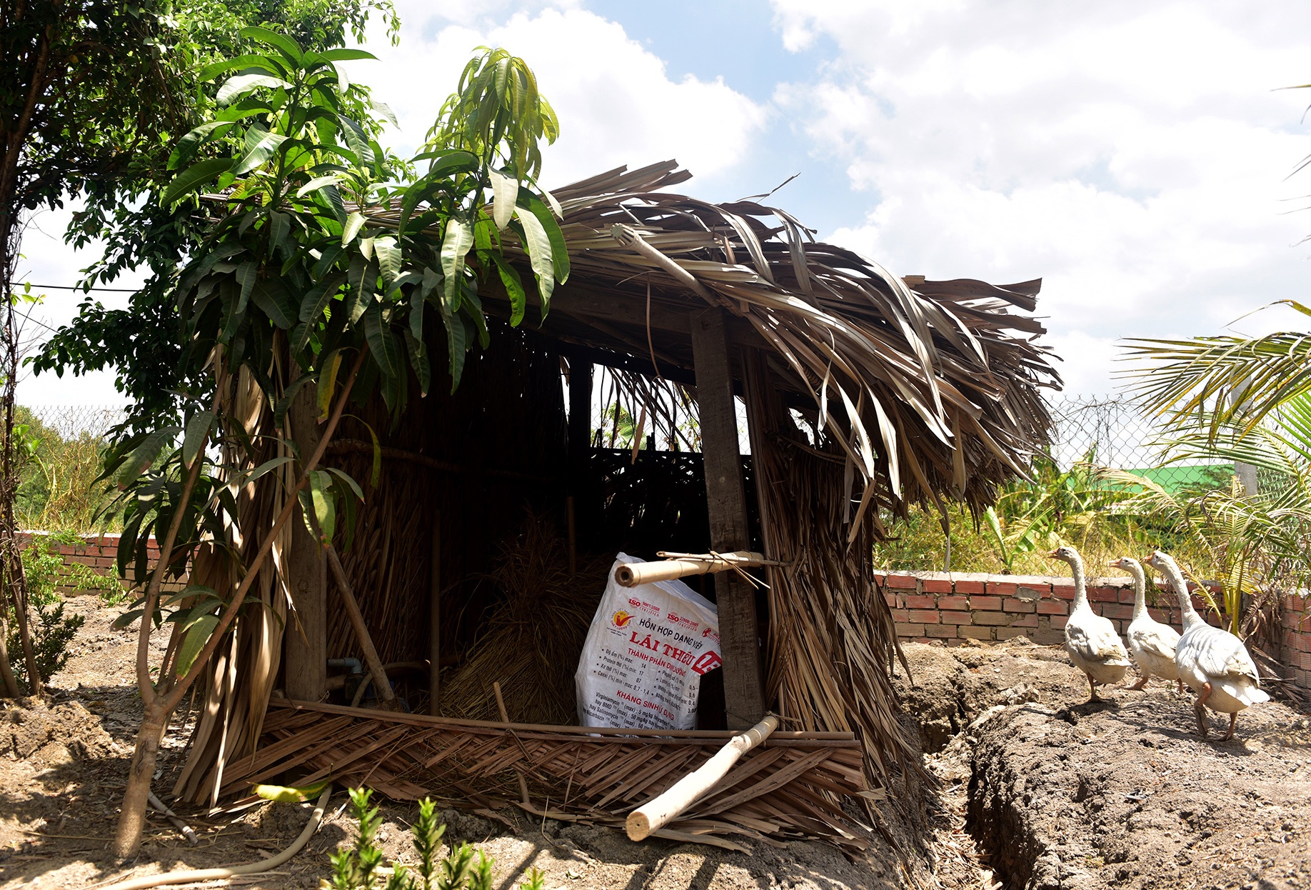 Can canh khu dat cua nguoi bi khoi to vi lam choi vit hinh anh