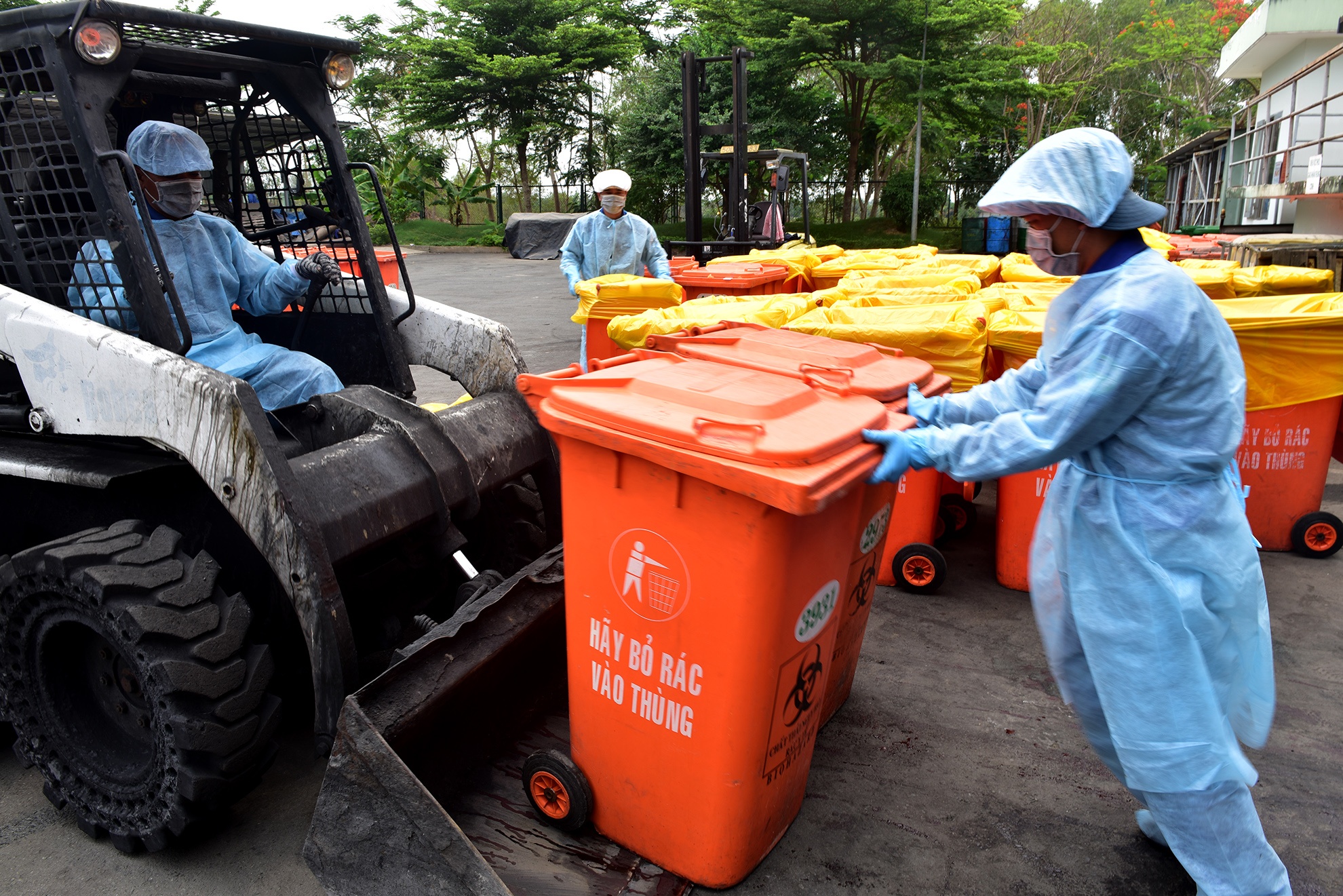 Tieu huy 80 con heo co chat cam anh 10