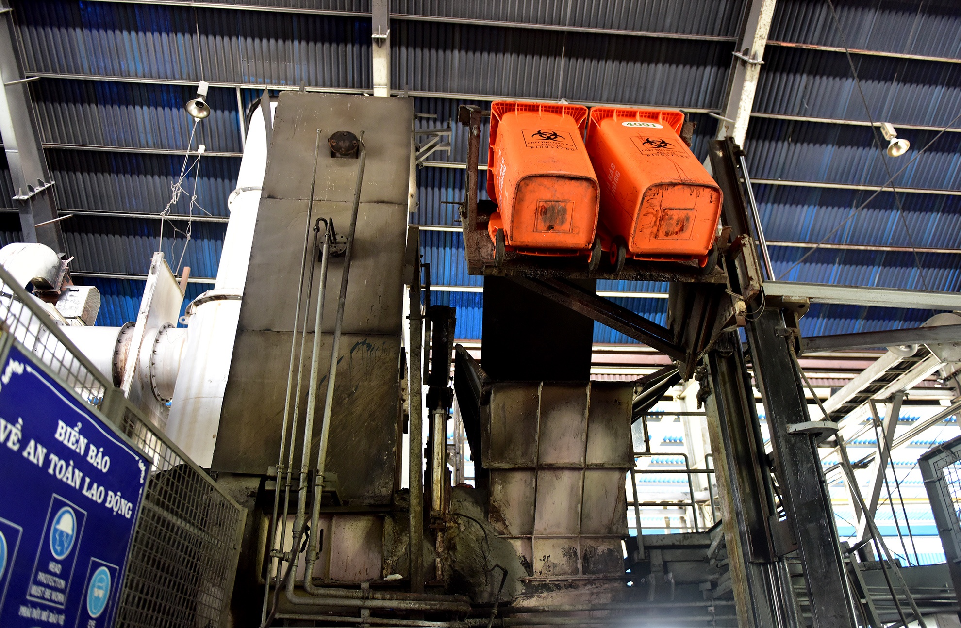 Tieu huy 80 con heo co chat cam anh 11