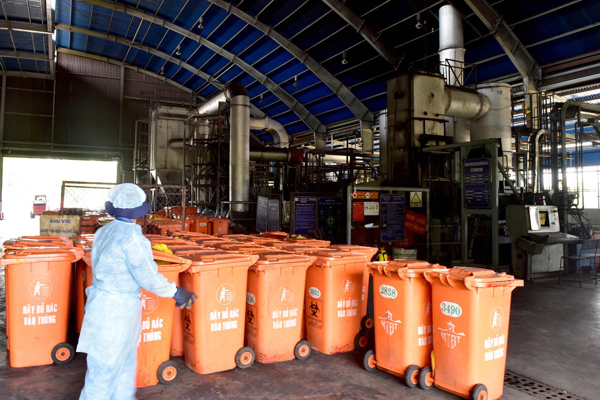 Tieu huy 80 con heo co chat cam anh 12