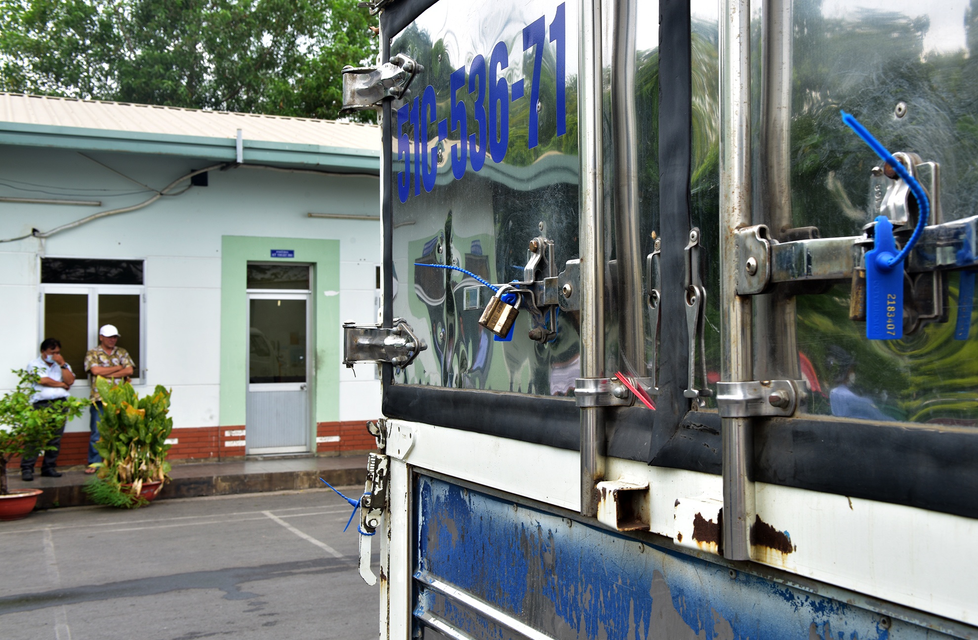 Tieu huy 80 con heo co chat cam anh 4