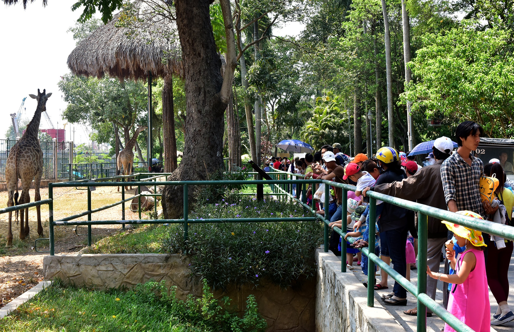 Khu vui choi dong nghit dip nghi le 30/4 anh 16