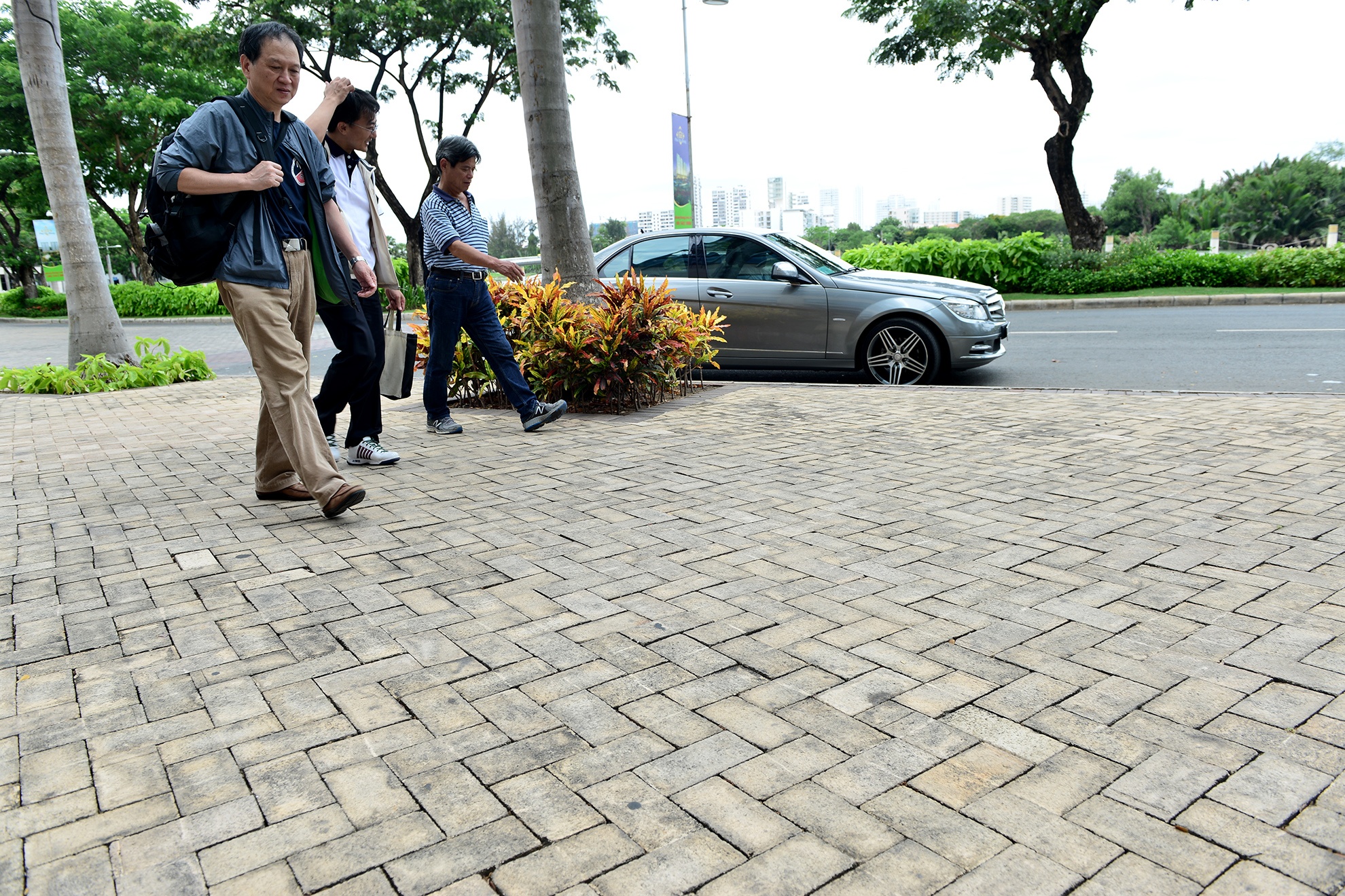 pho di bo Phu My Hung anh 6