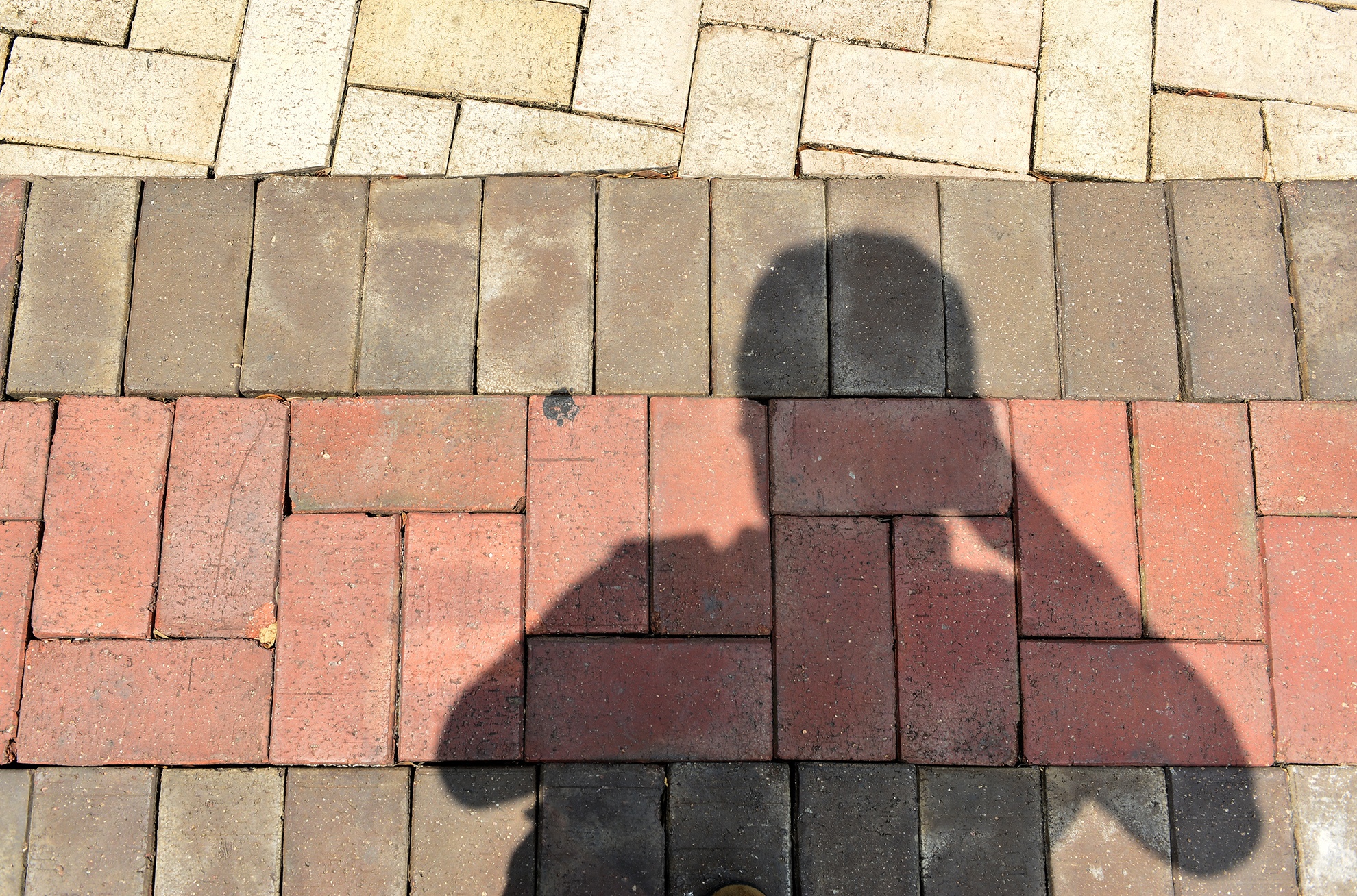 pho di bo Phu My Hung anh 8