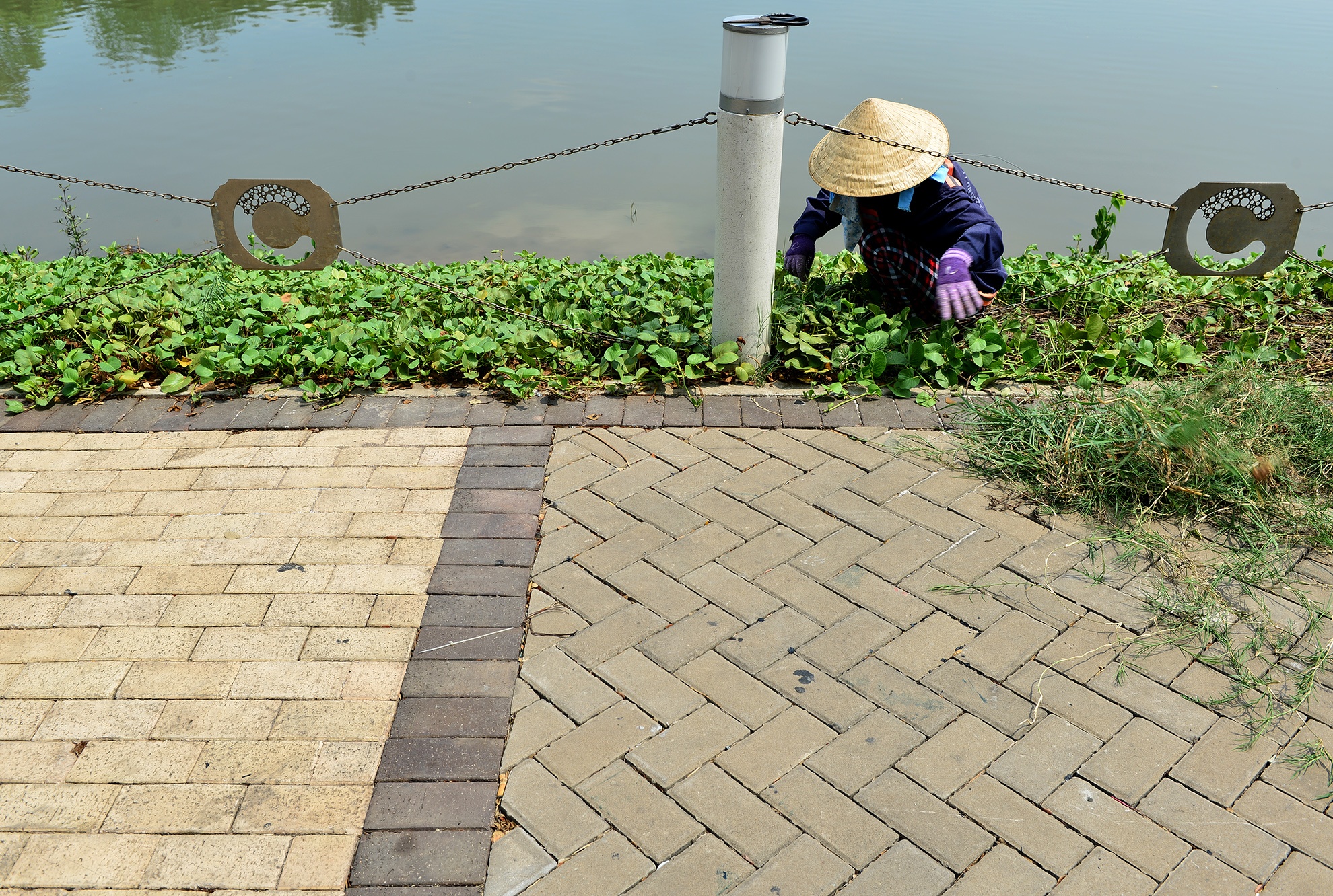 pho di bo Phu My Hung anh 9