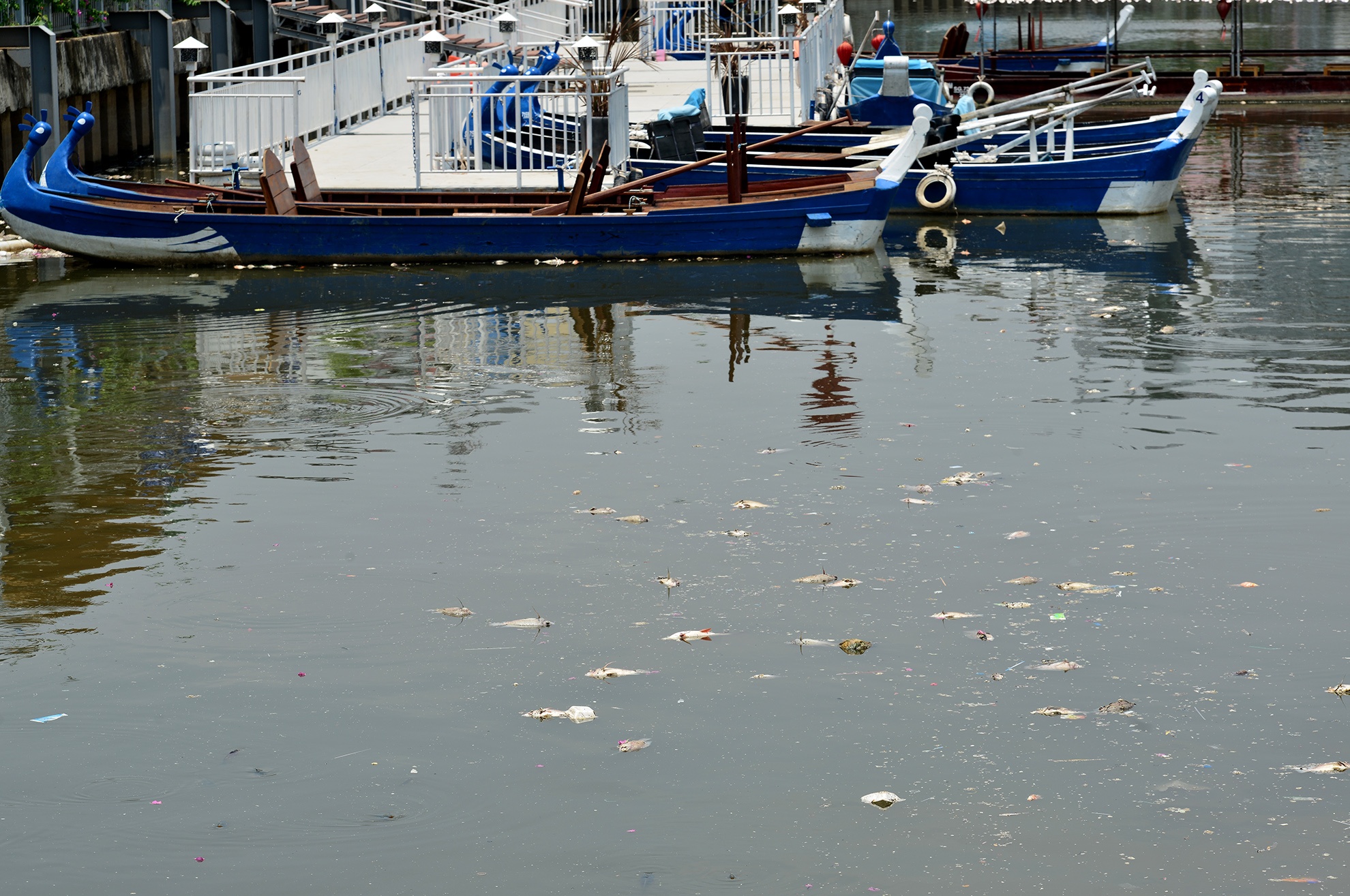 Ca chet kenh Nhieu Loc anh 10