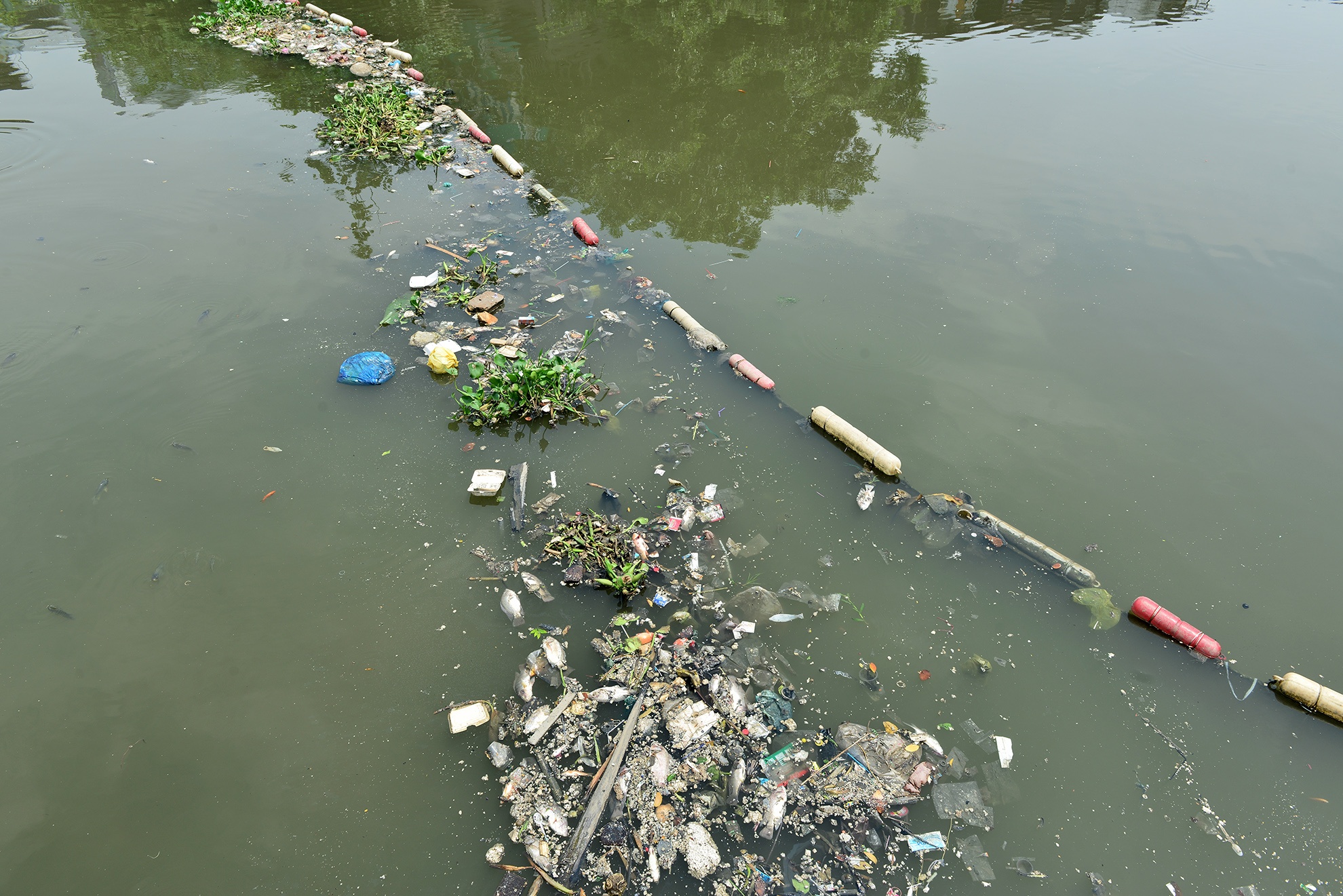 Ca chet kenh Nhieu Loc anh 8