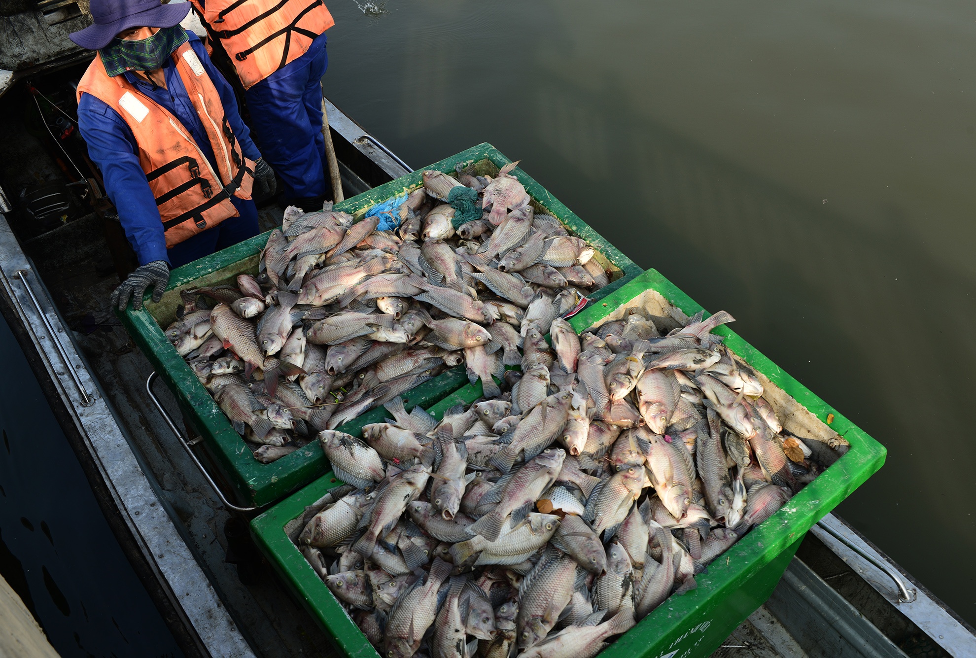 ca chet tren kenh Nhieu Loc anh 10