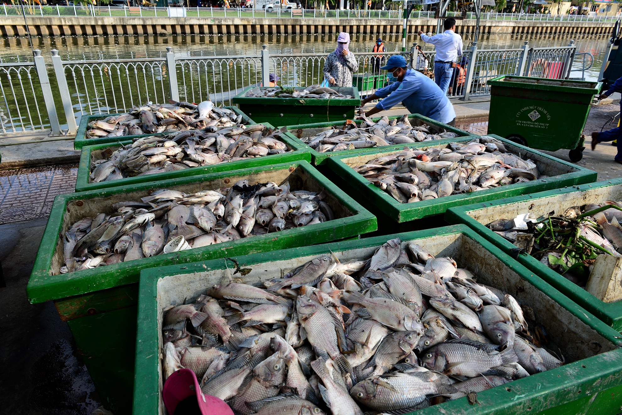 ca chet tren kenh Nhieu Loc anh 12