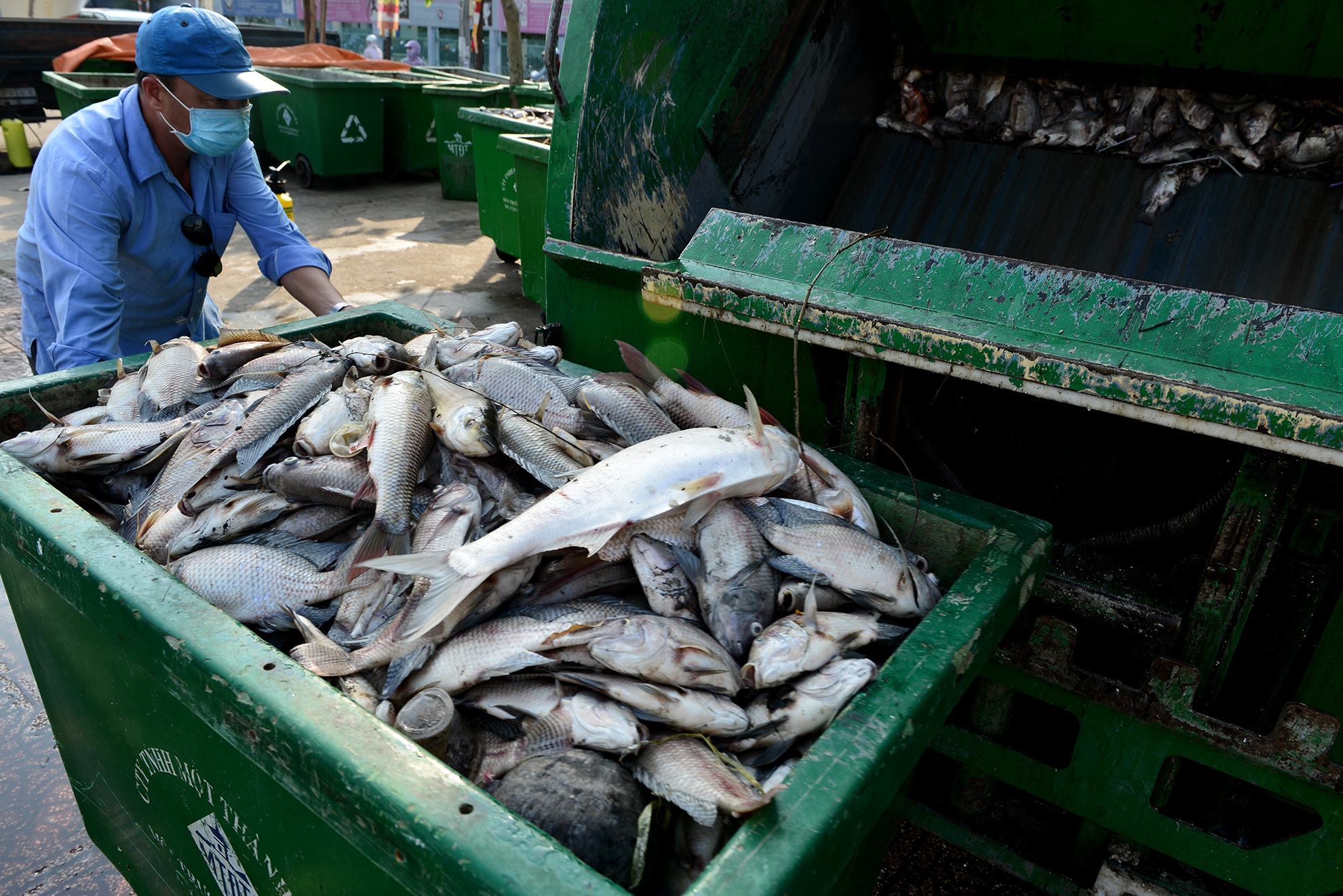 ca chet tren kenh Nhieu Loc anh 13