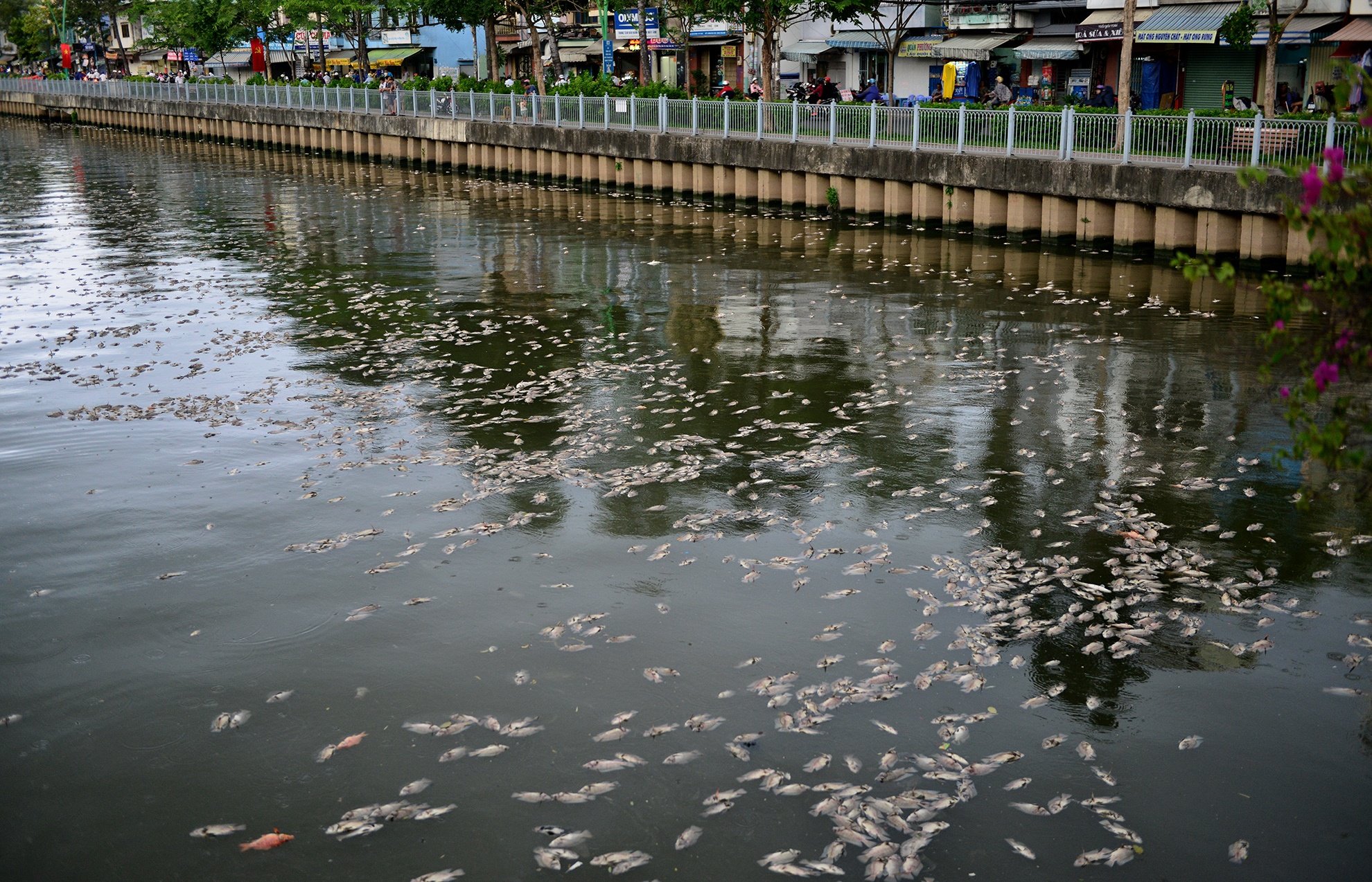 ca chet tren kenh Nhieu Loc anh 1