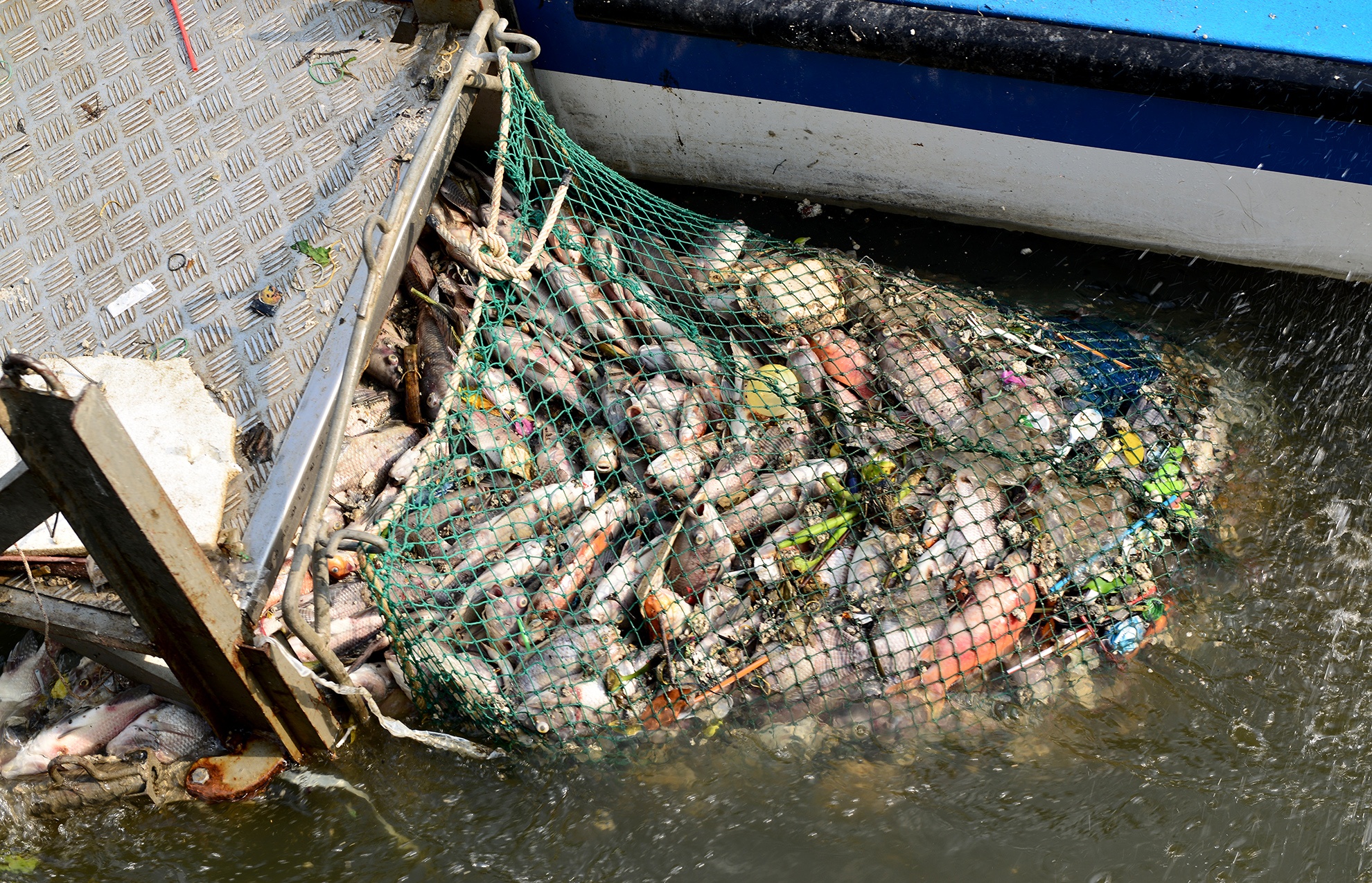 ca chet tren kenh Nhieu Loc anh 4