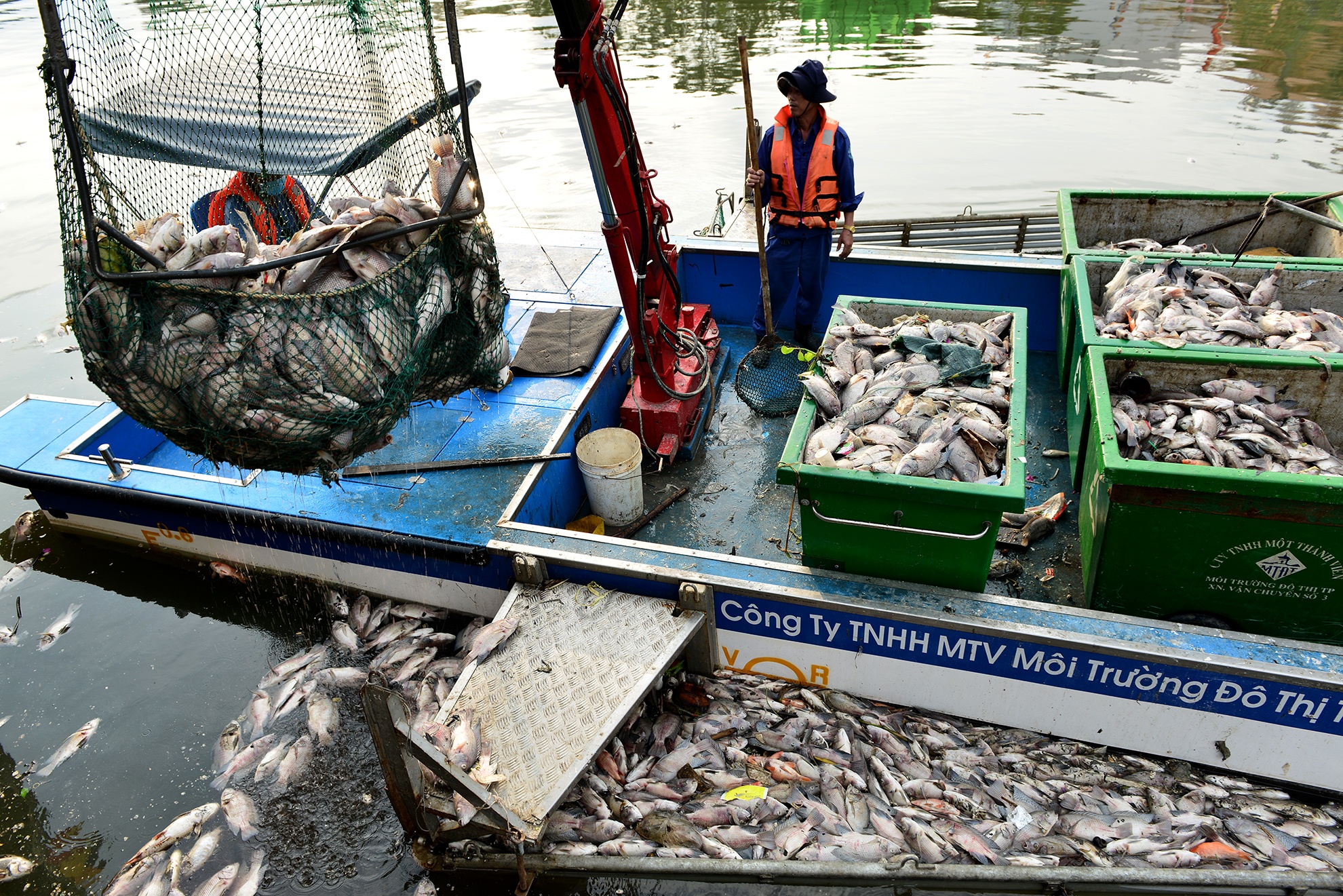 ca chet tren kenh Nhieu Loc anh 5