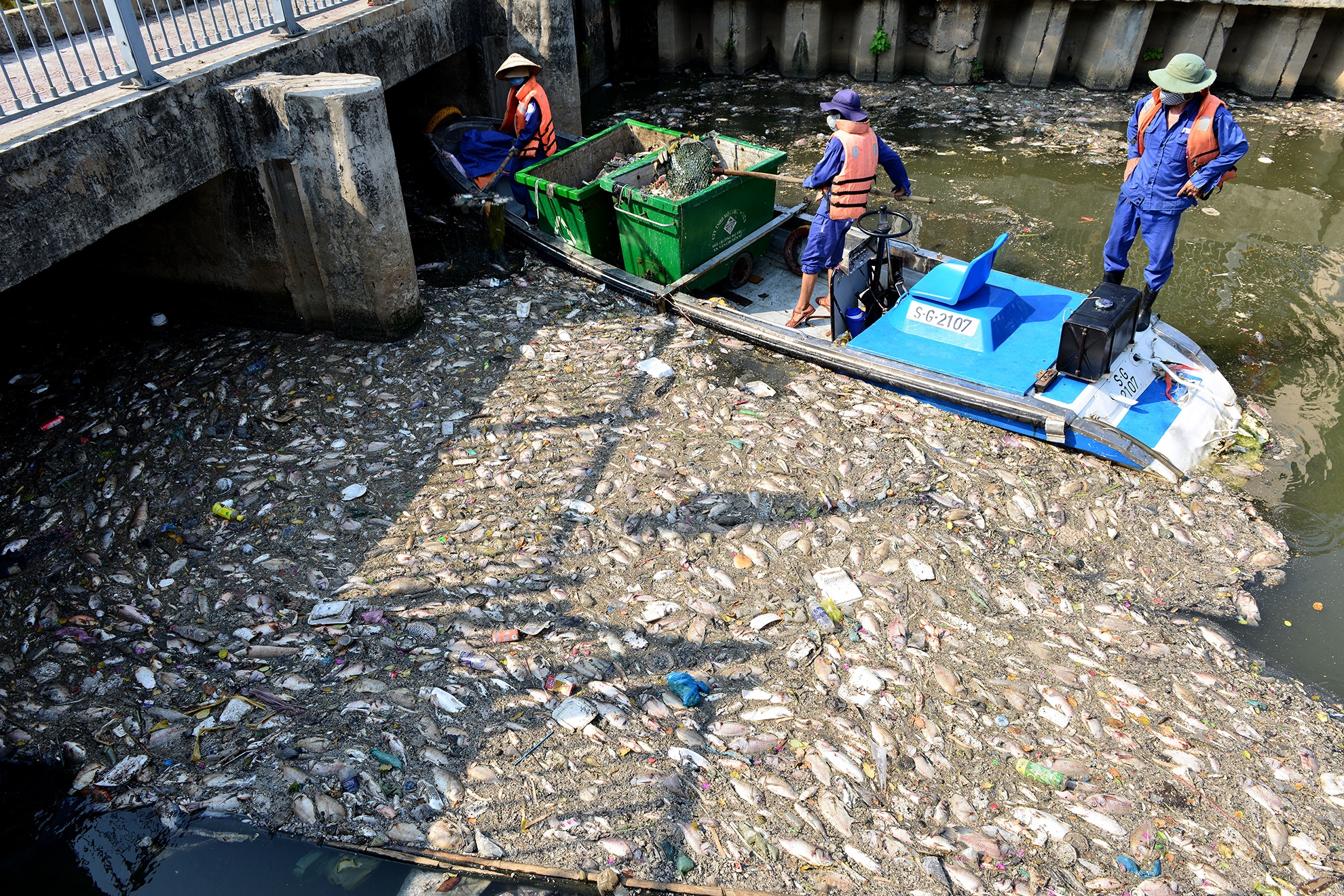 ca chet tren kenh Nhieu Loc anh 7