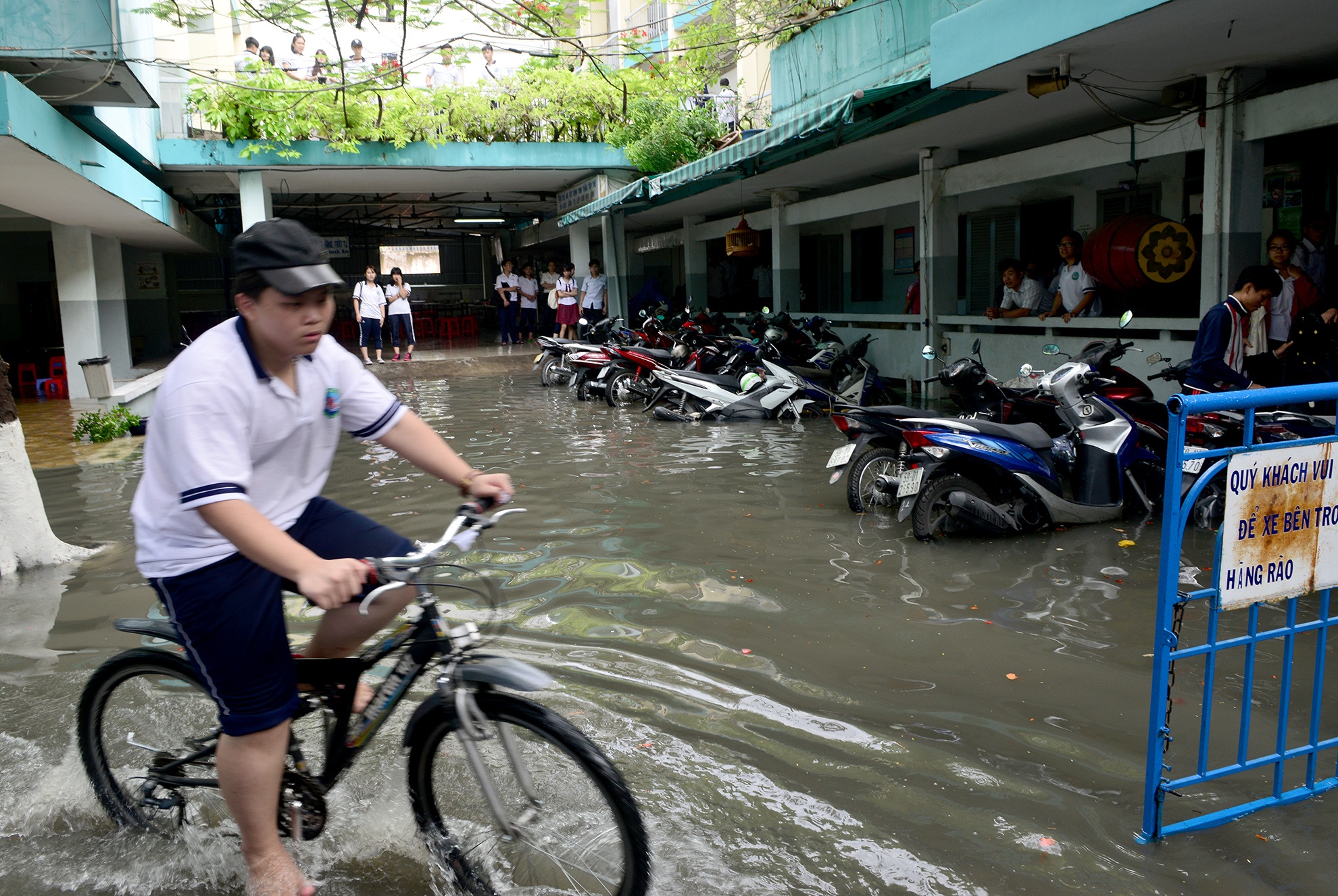 hang tram nha dan bi ngam trong nuoc ban o Sai Gon anh 13