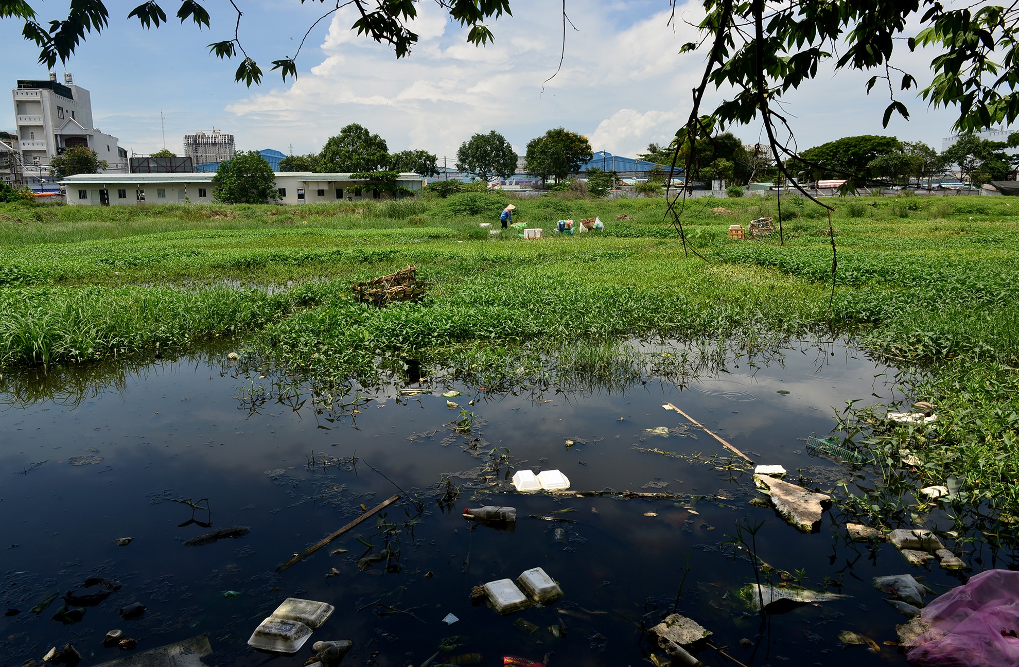 du an sai pham o Ba Ria-Vung Tau anh 14