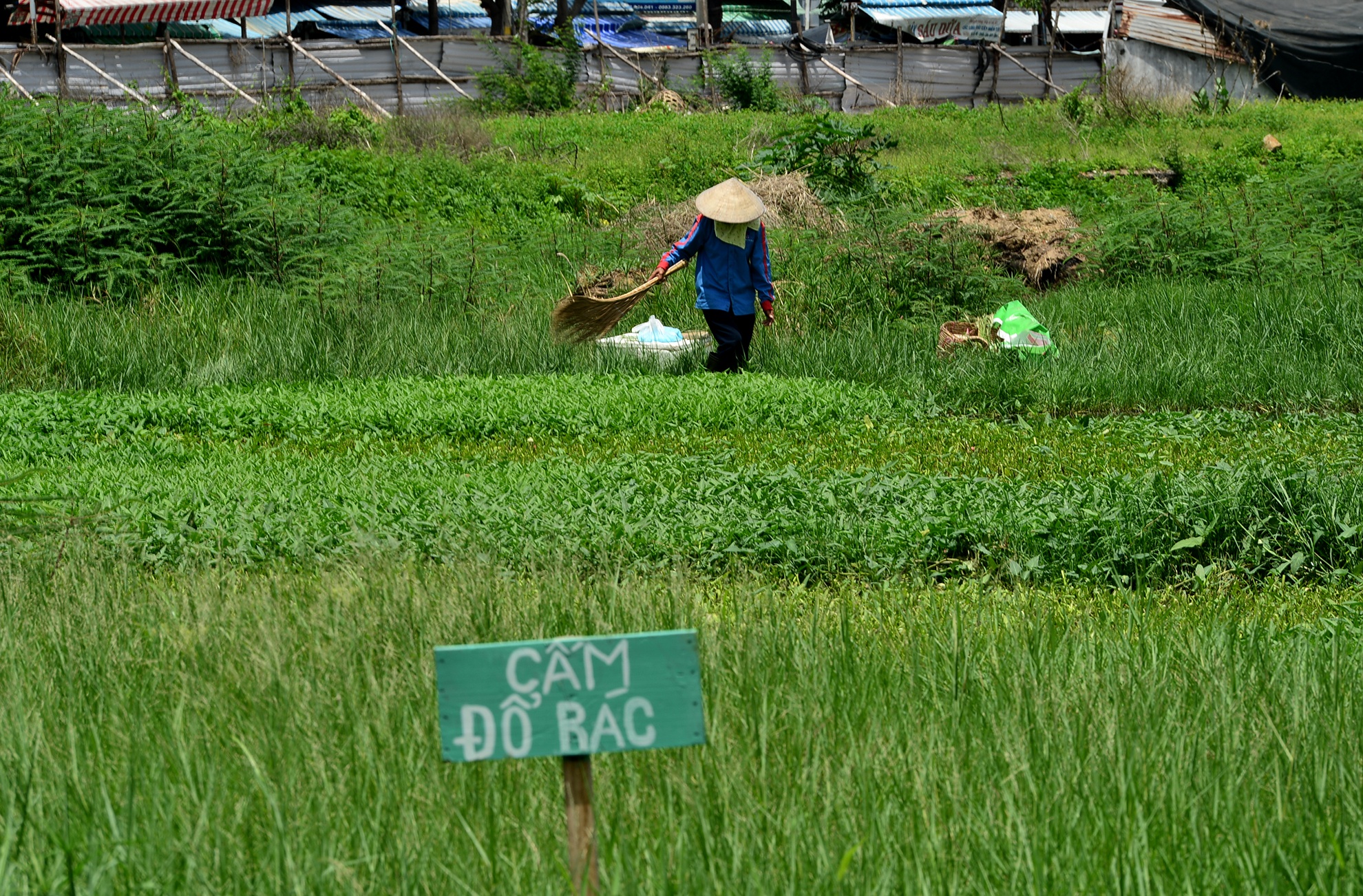 du an sai pham o Ba Ria-Vung Tau anh 15