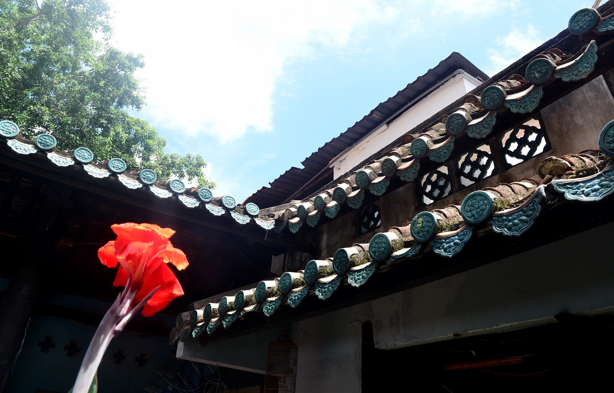 nha co Vuong Hong Sen anh 10