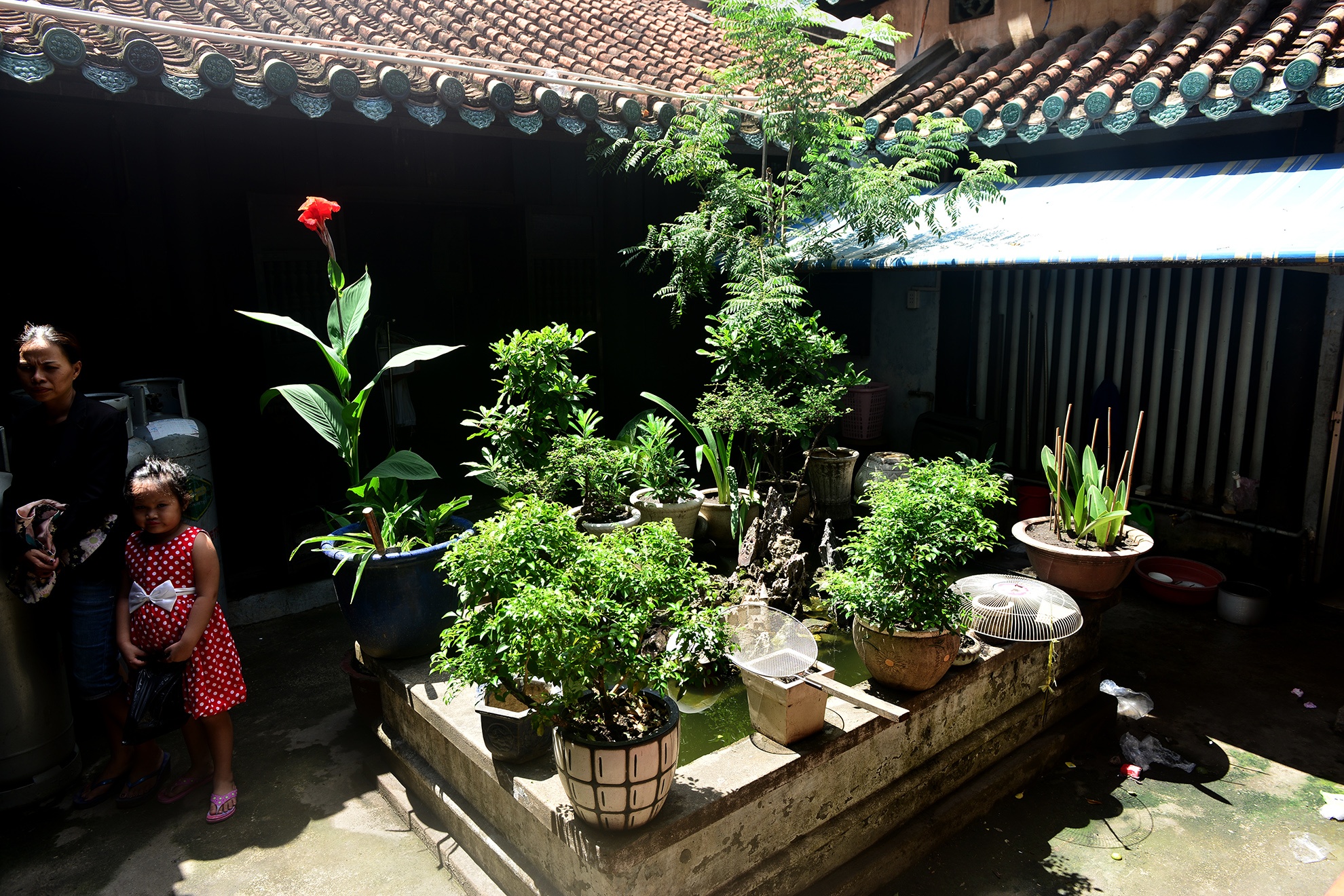 nha co Vuong Hong Sen anh 9