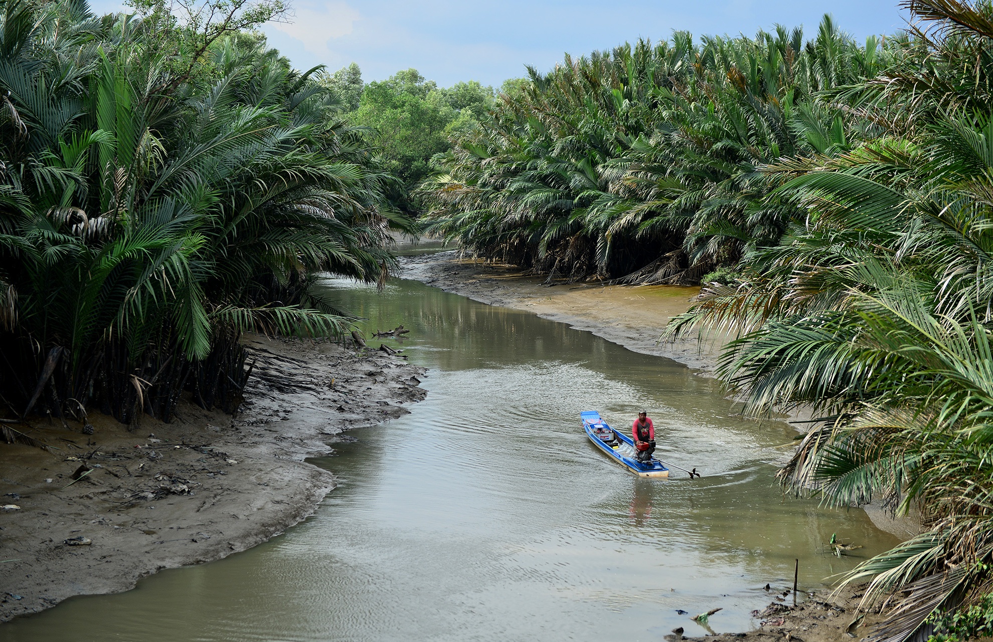 dan kho so vi bai rac Da Phuoc anh 11