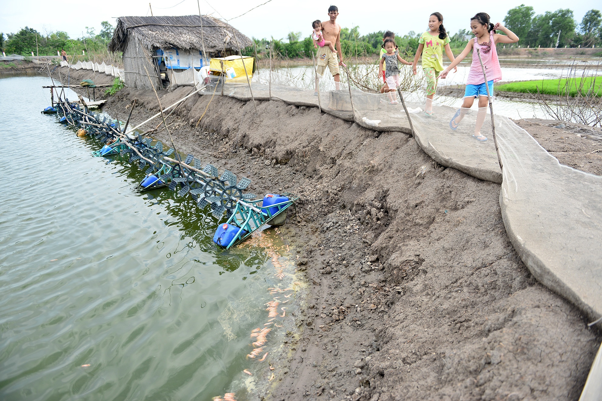dan kho so vi bai rac Da Phuoc anh 13