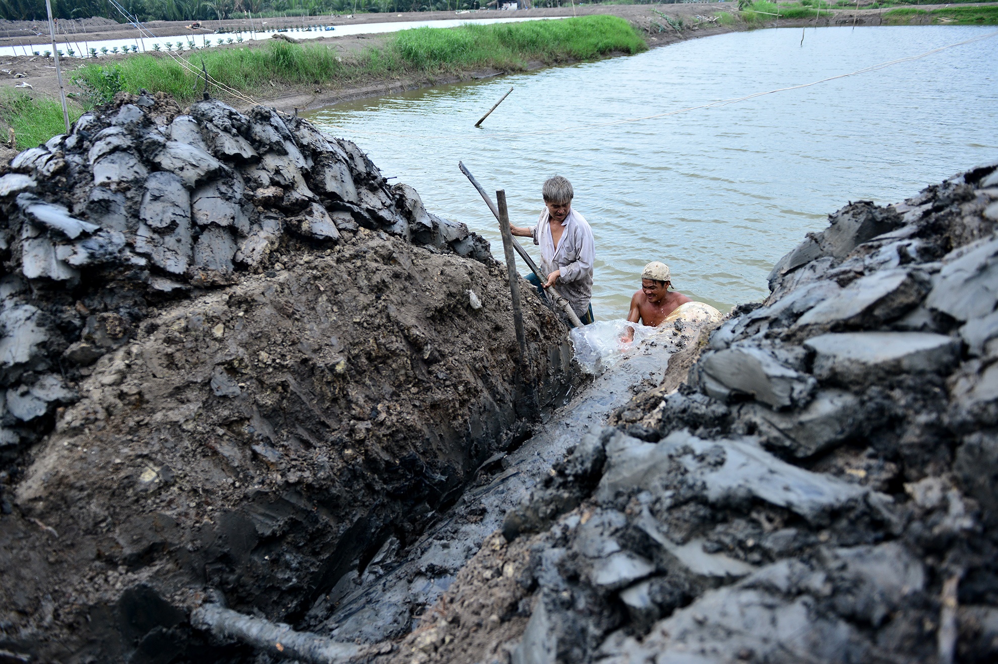 dan kho so vi bai rac Da Phuoc anh 18