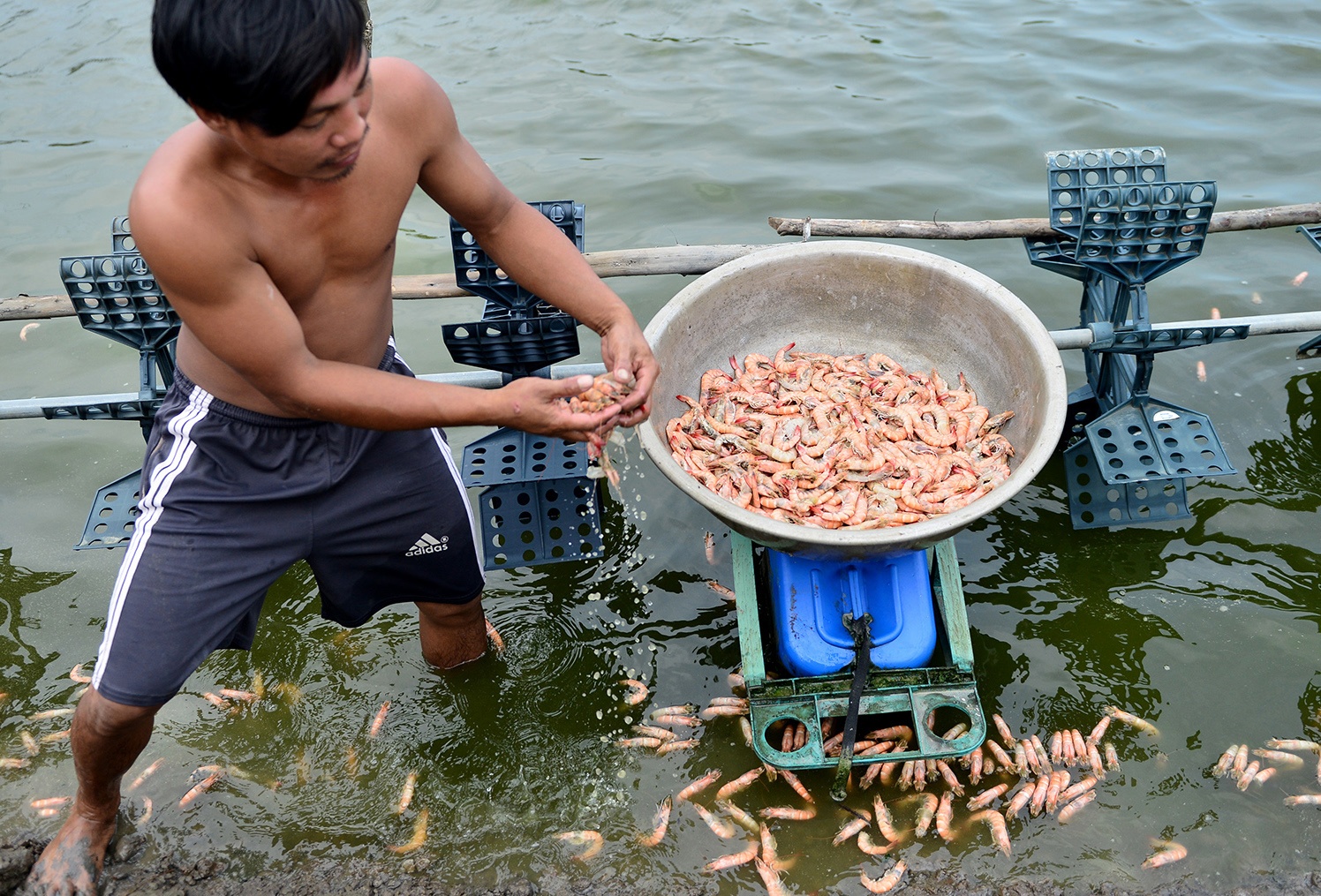 Cuoc song dao lon khi o canh bai rac Da Phuoc hinh anh