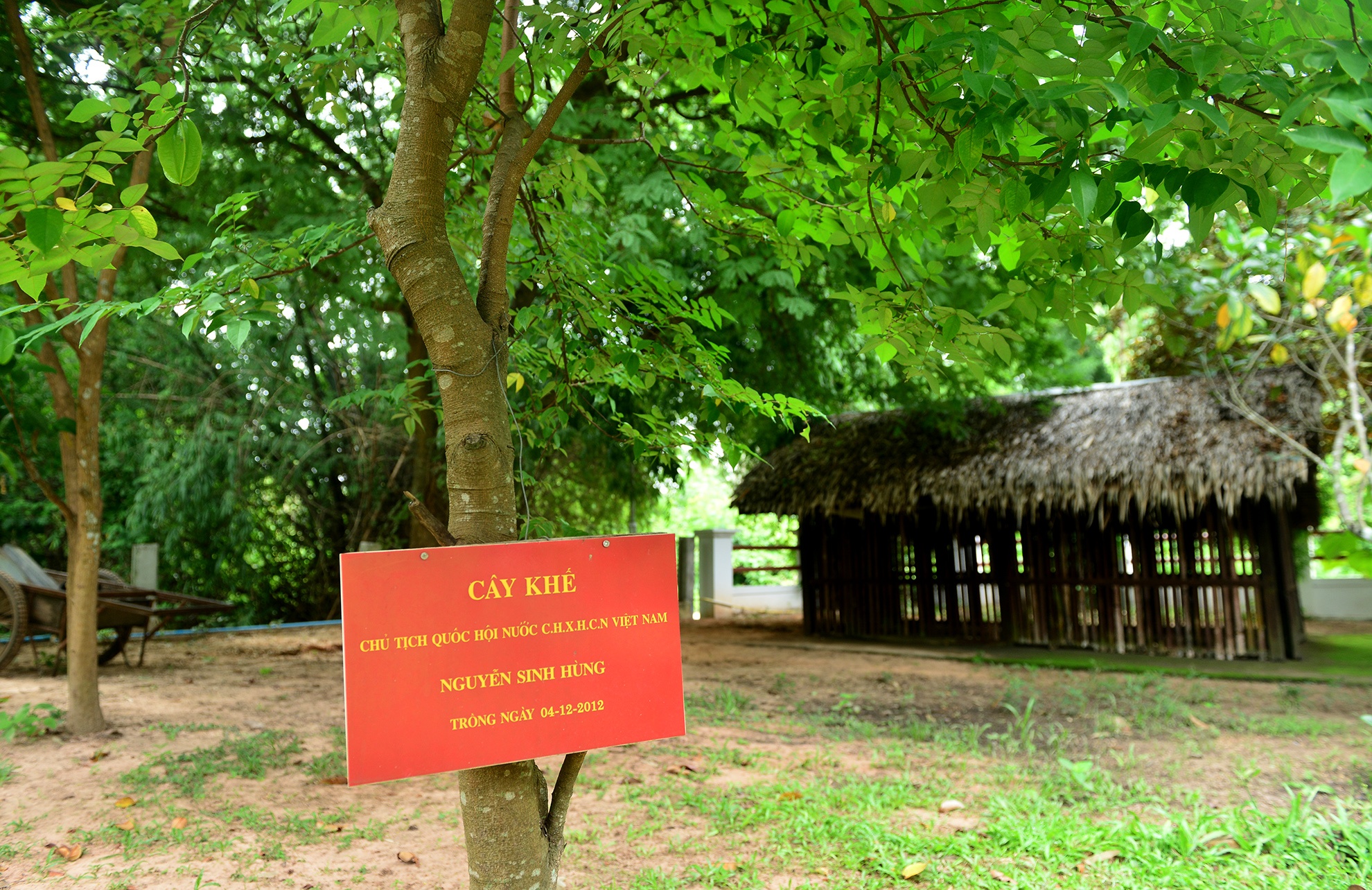 noi Bac Ho tung song va lam viec o Thai Lan anh 8