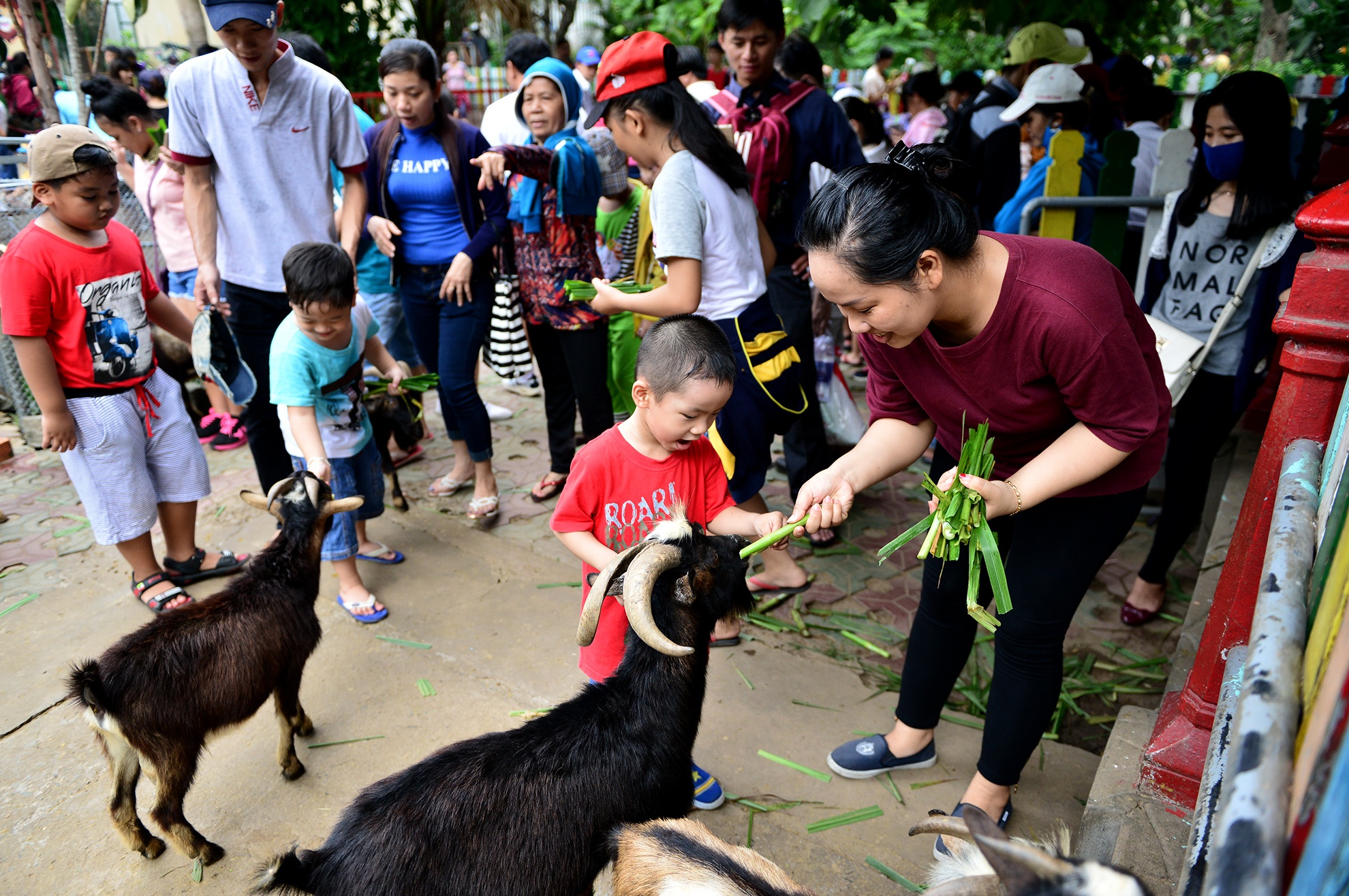 hang ngan nguoi vui choi 2/9 o Thao Cam Vien anh 8