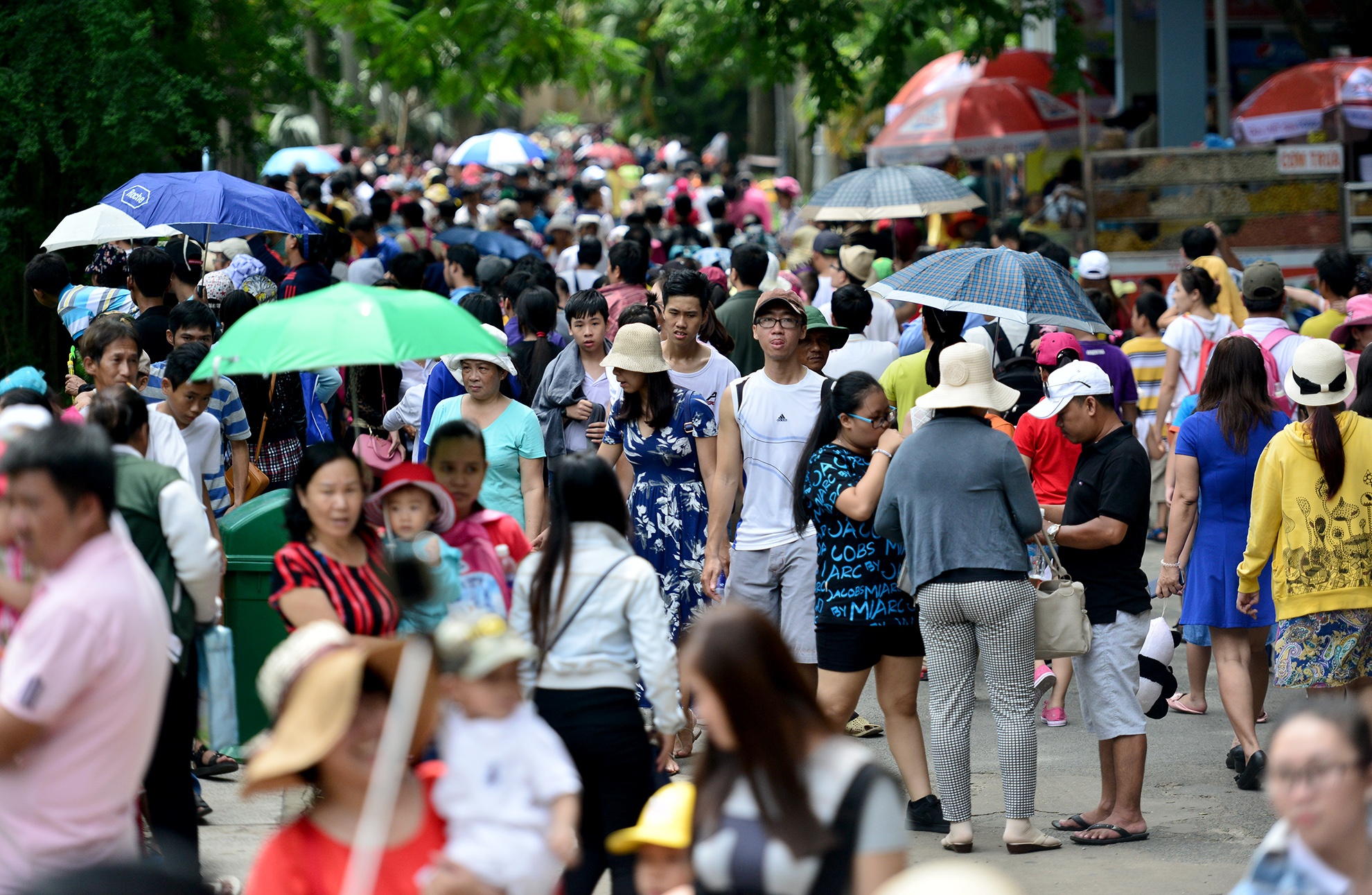 hang ngan nguoi vui choi 2/9 o Thao Cam Vien anh 5