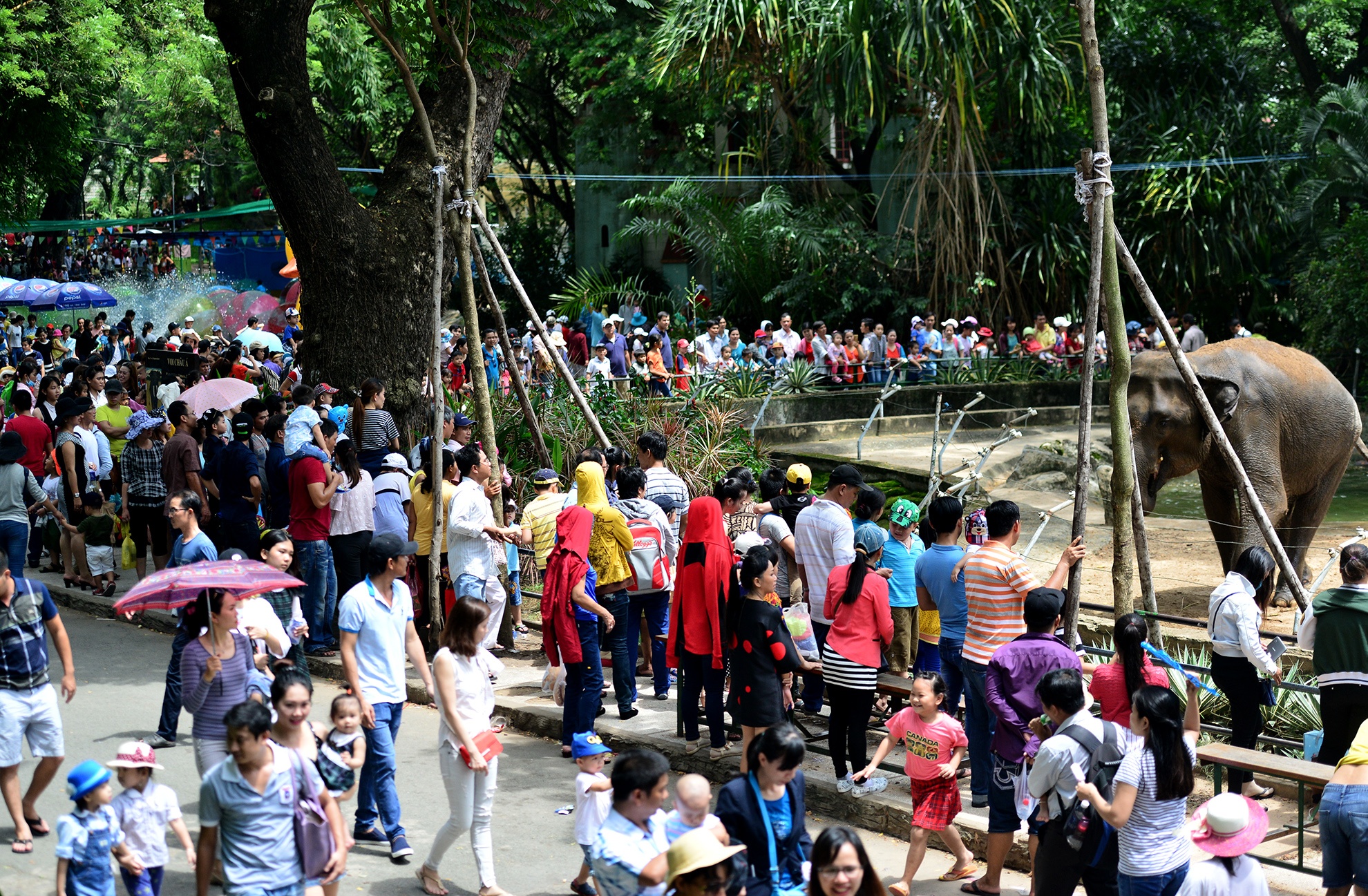 hang ngan nguoi vui choi 2/9 o Thao Cam Vien anh 6