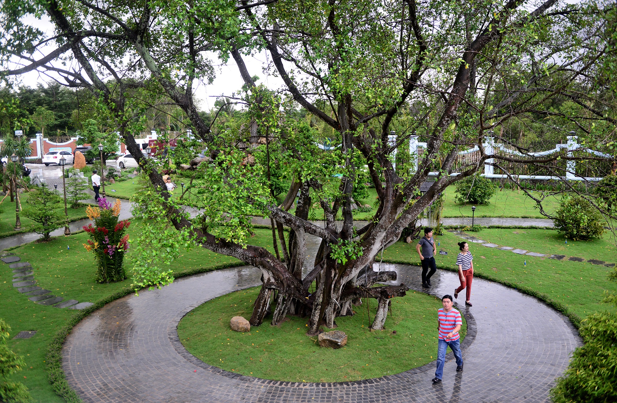 nha tho to cua Hoai Linh anh 19