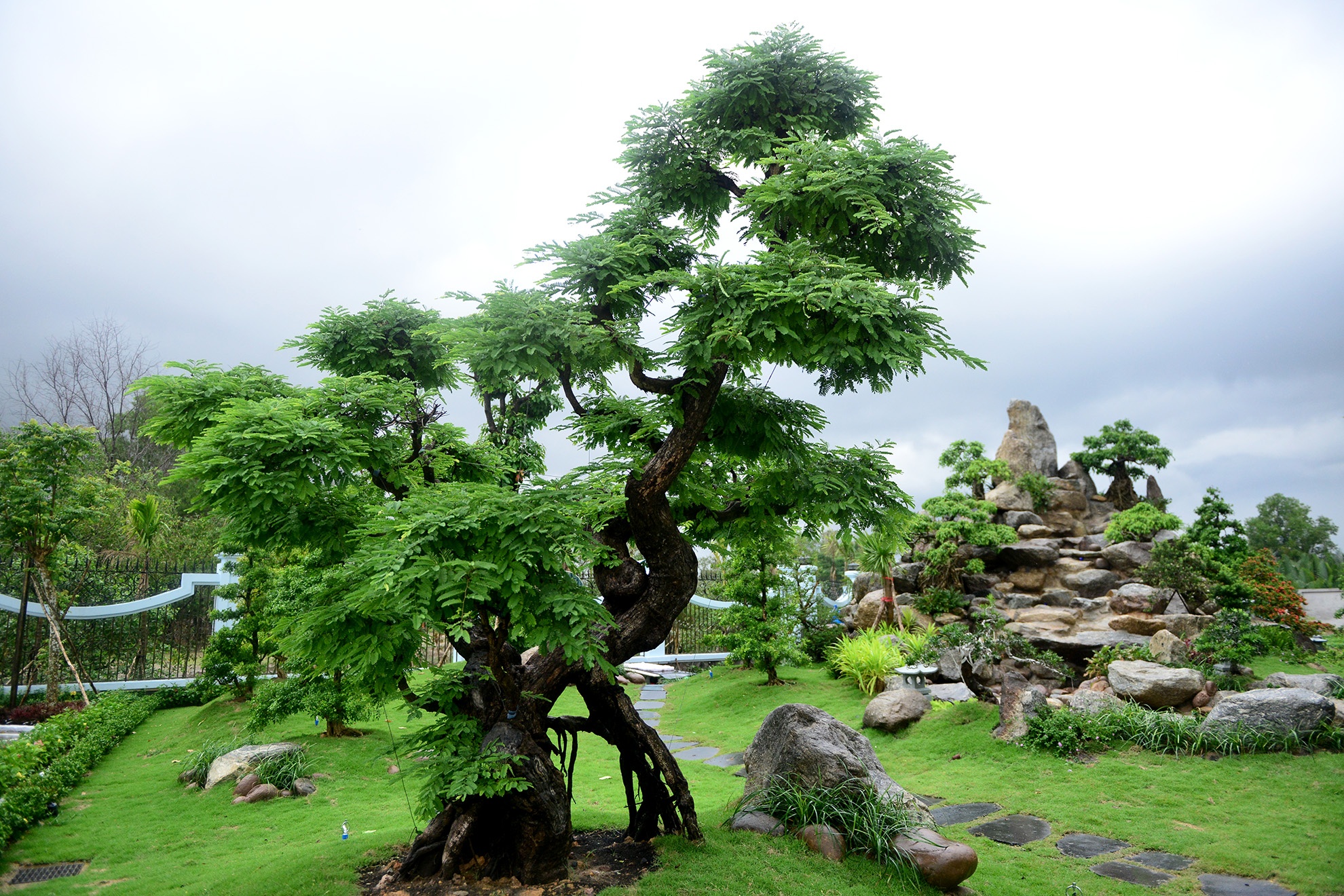 nha tho to cua Hoai Linh anh 20