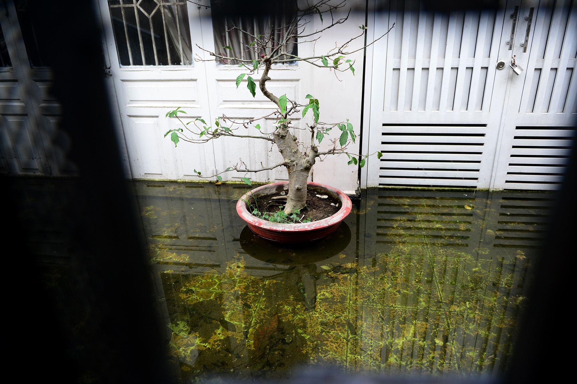 mua ngap bien hem thanh ao o Sai Gon anh 16