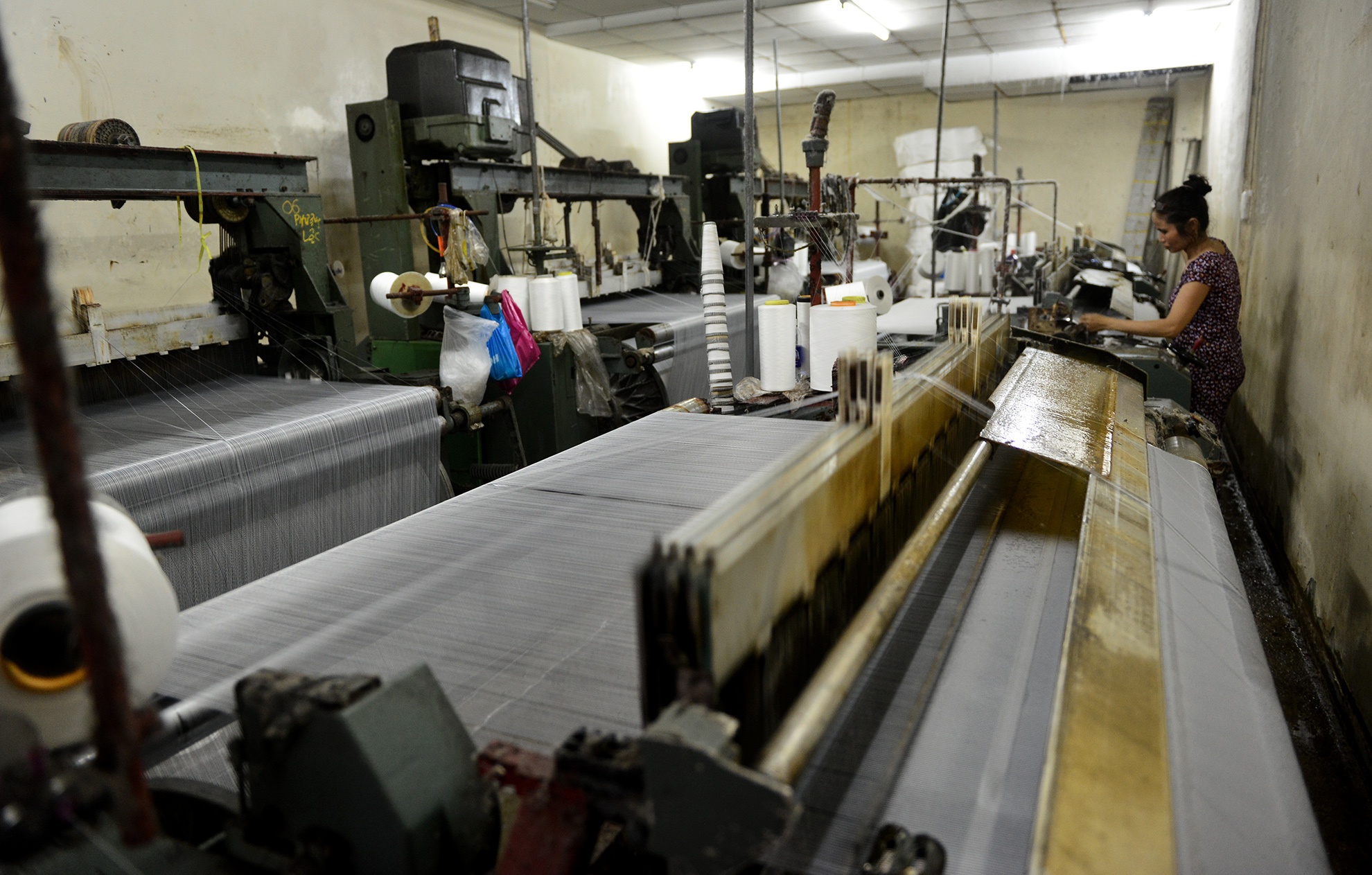 lang det Bay Hien anh 14