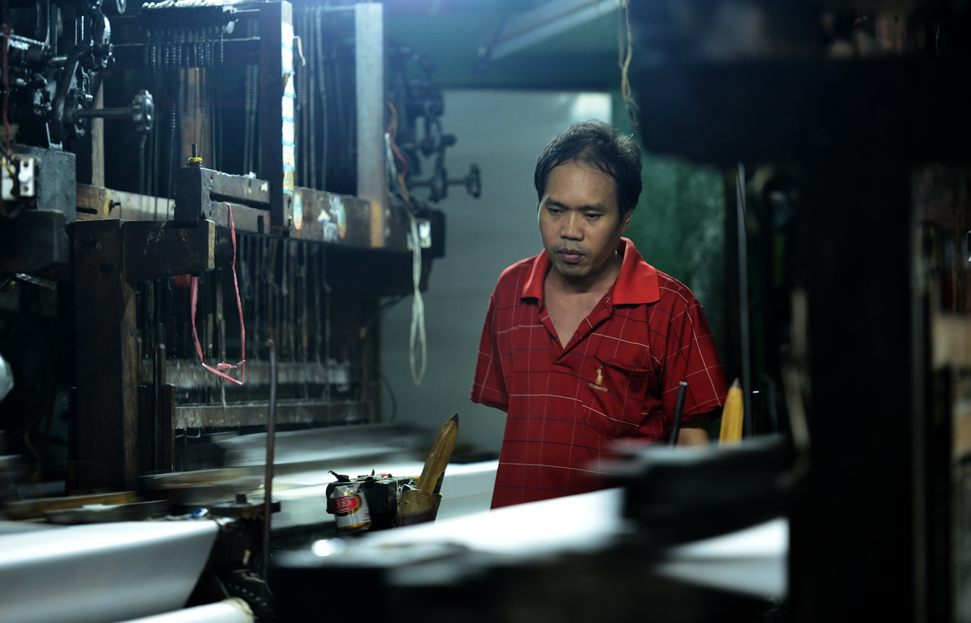 lang det Bay Hien anh 9