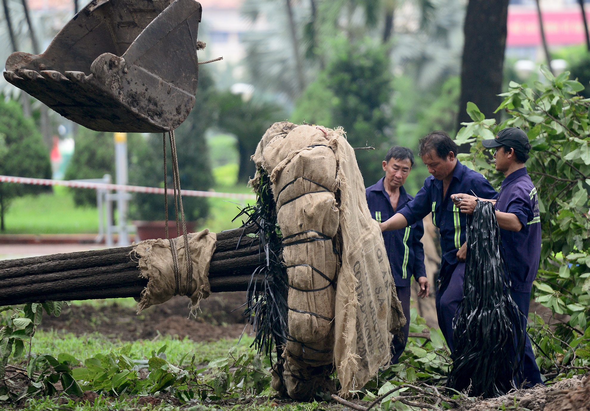 Sai Gon bung 75 cay xanh de xay dung ga metro Ben Thanh hinh anh