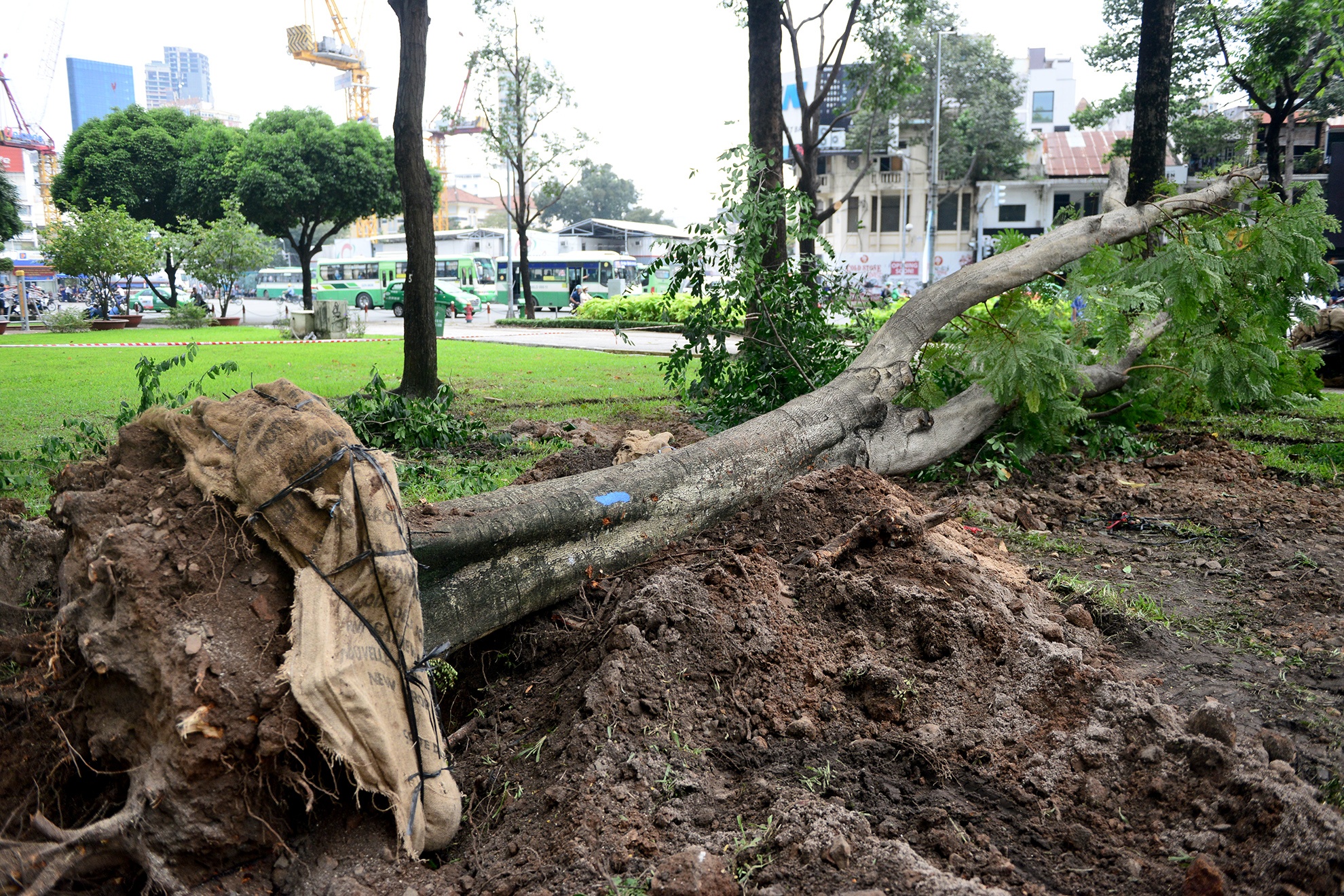 don bung cay xanh xay ga metro Ben Thanh anh 10