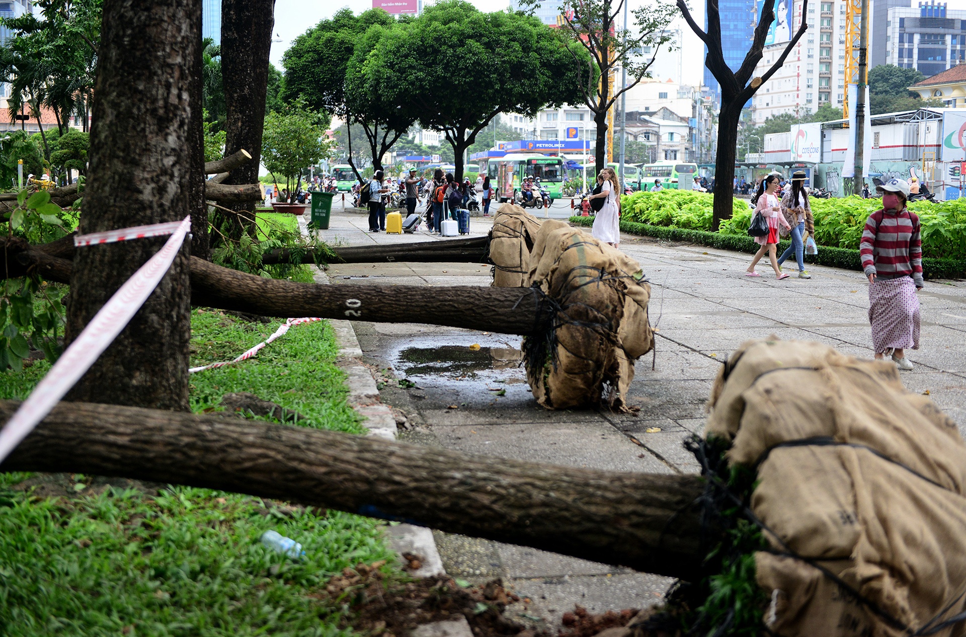 don bung cay xanh xay ga metro Ben Thanh anh 11