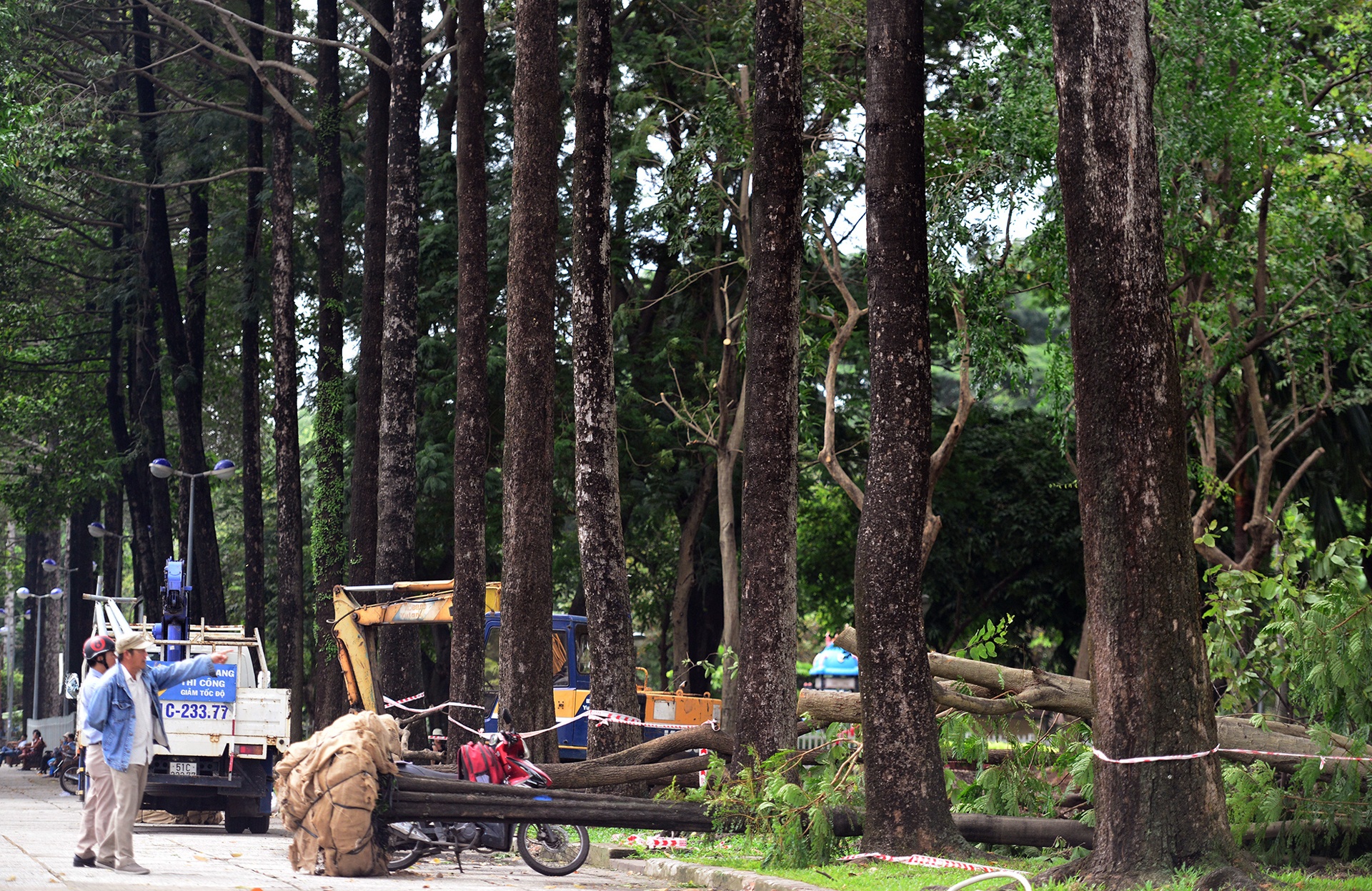 don bung cay xanh xay ga metro Ben Thanh anh 12