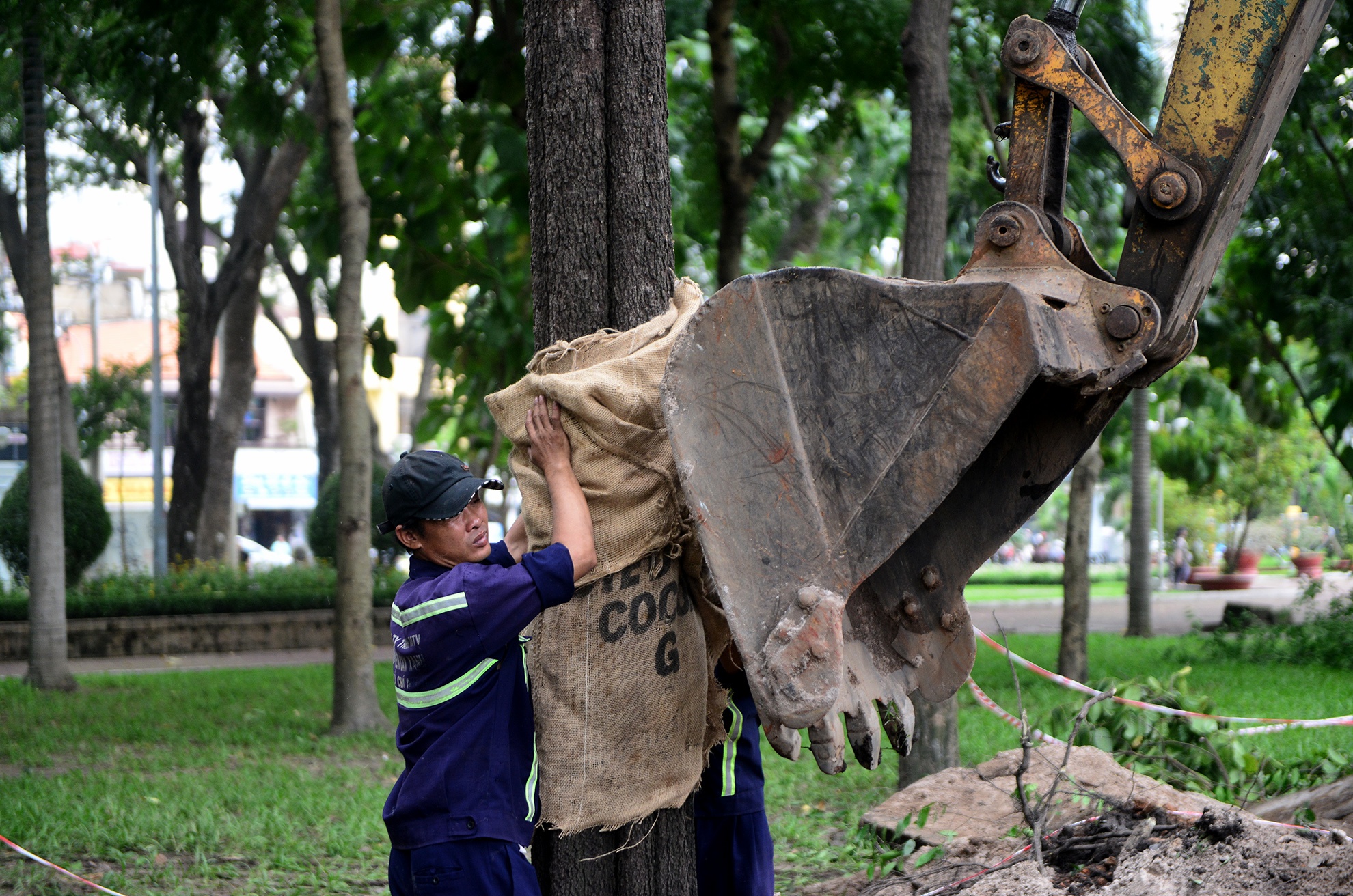don bung cay xanh xay ga metro Ben Thanh anh 5