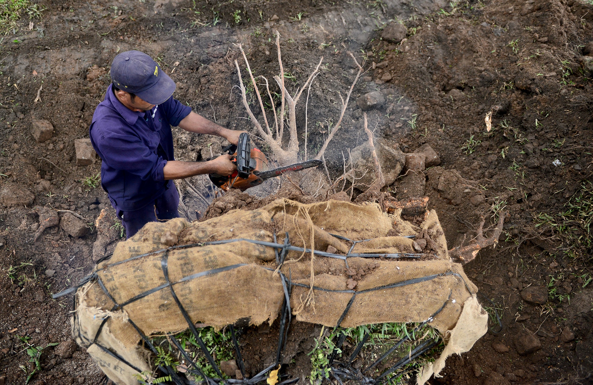don bung cay xanh xay ga metro Ben Thanh anh 6