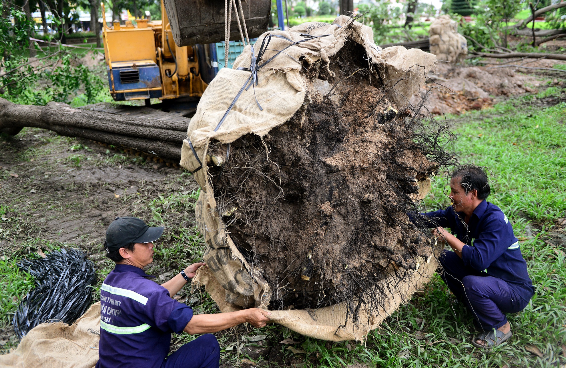 don bung cay xanh xay ga metro Ben Thanh anh 7