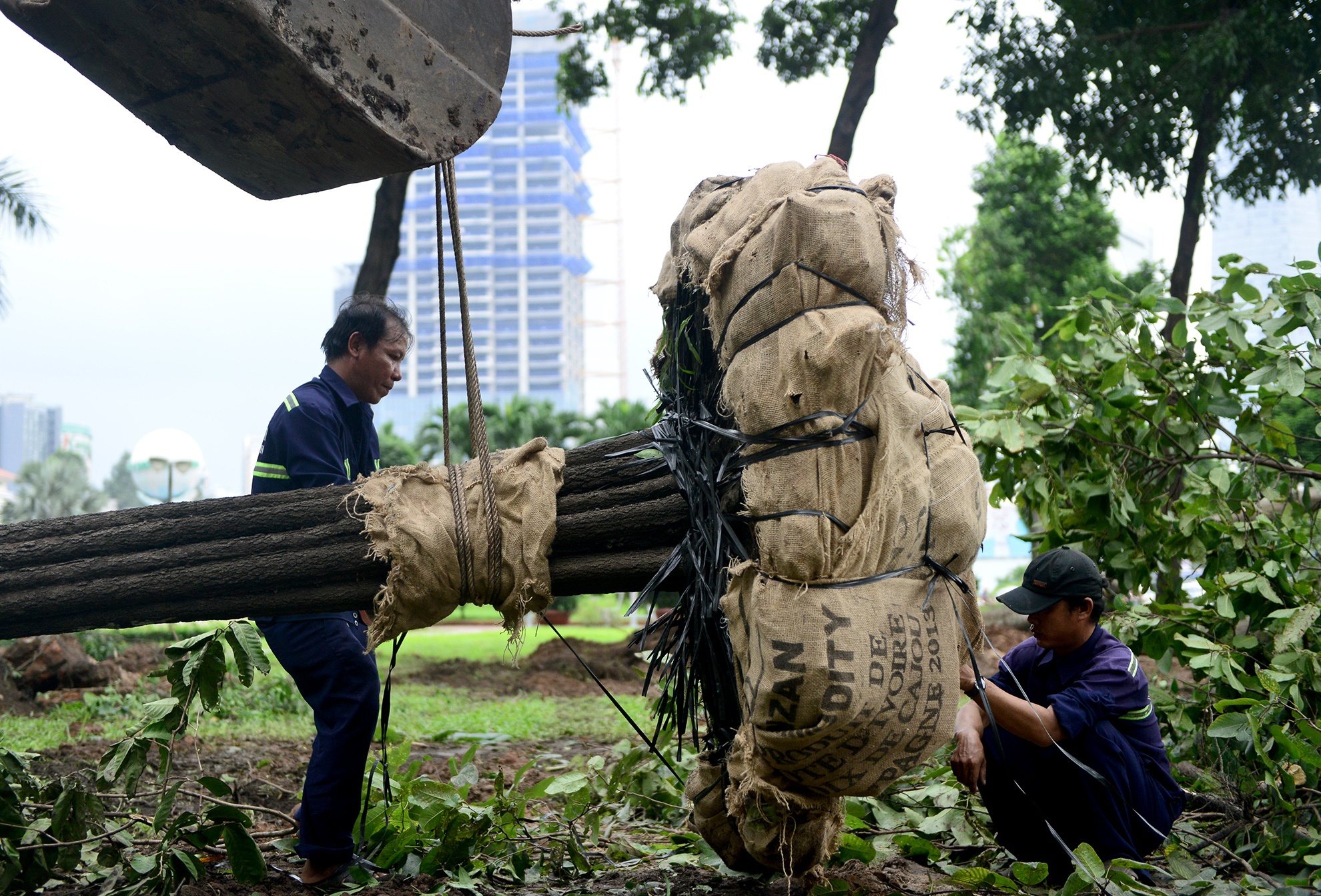 don bung cay xanh xay ga metro Ben Thanh anh 8